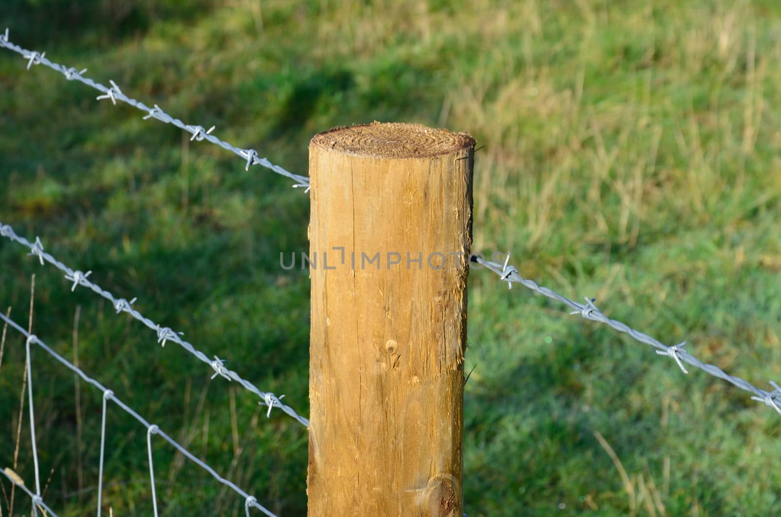 Barbed wire fence at angle