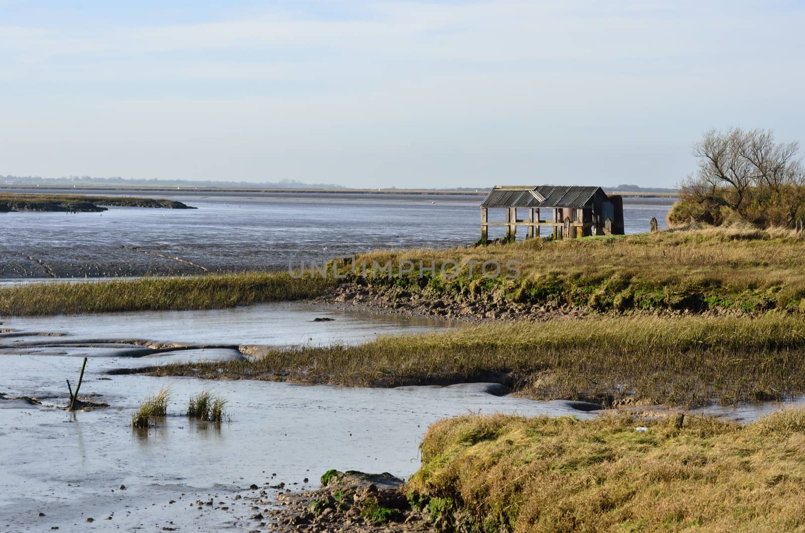 Estuary England by pauws99