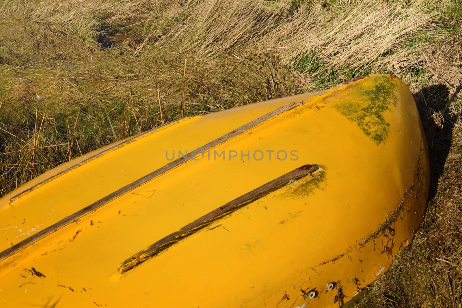 Upturned row boat by pauws99