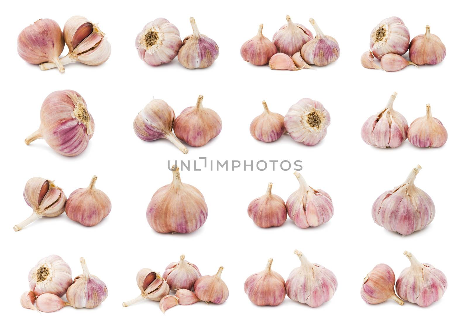 Collection of fresh young garlic isolated on white background