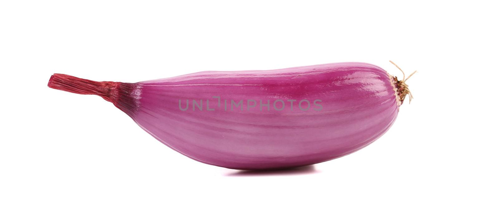 Organic red onion. Slice. Isolated on a white background.