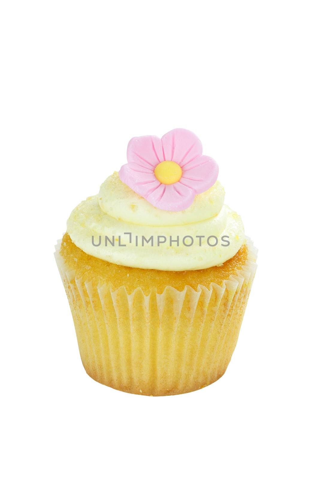 Isolated birthday cupcake with sing;e pink flower. Clipping path included.
