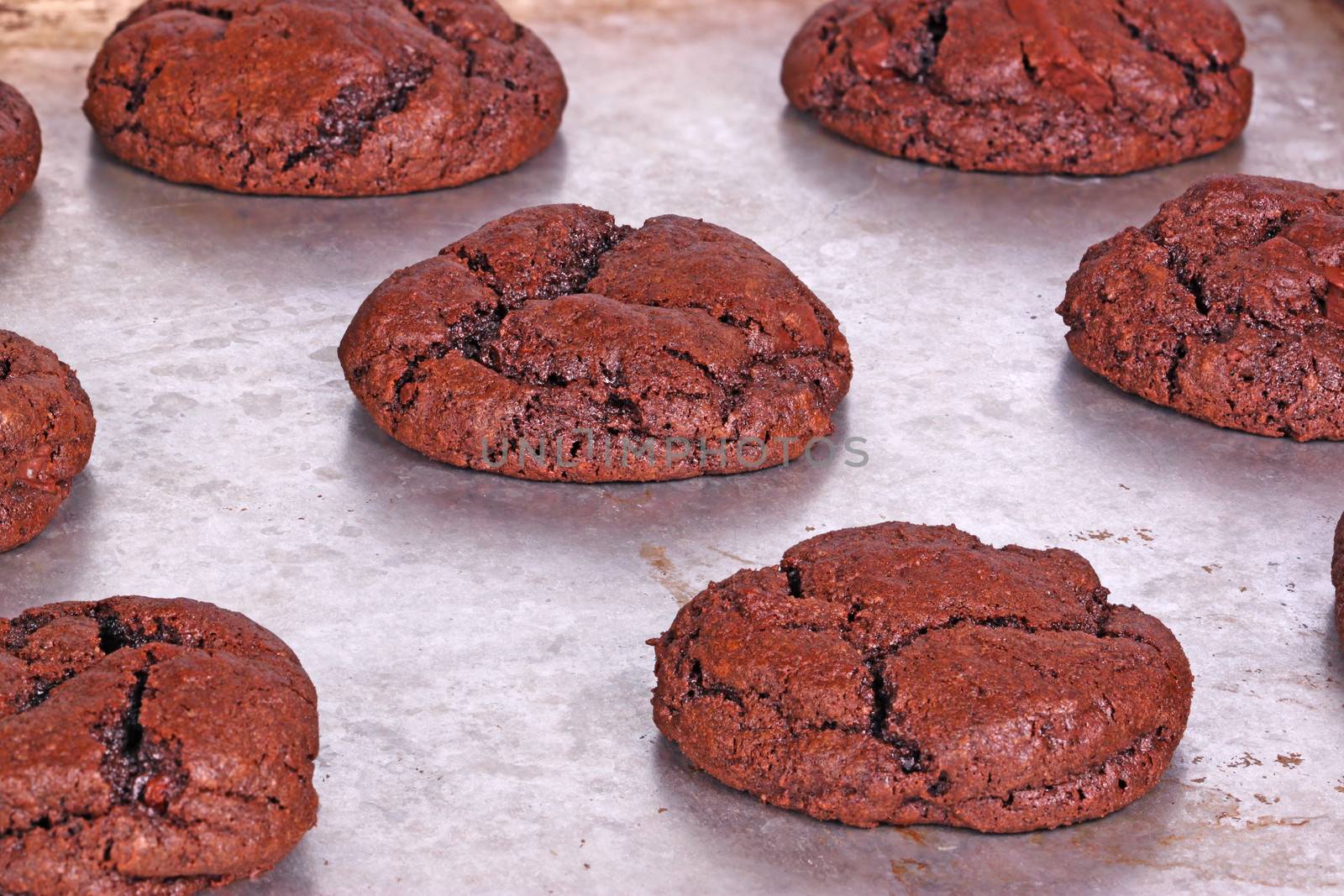 Home-made dark chocolate cookies fresh out of the oven cool down while still on the pan