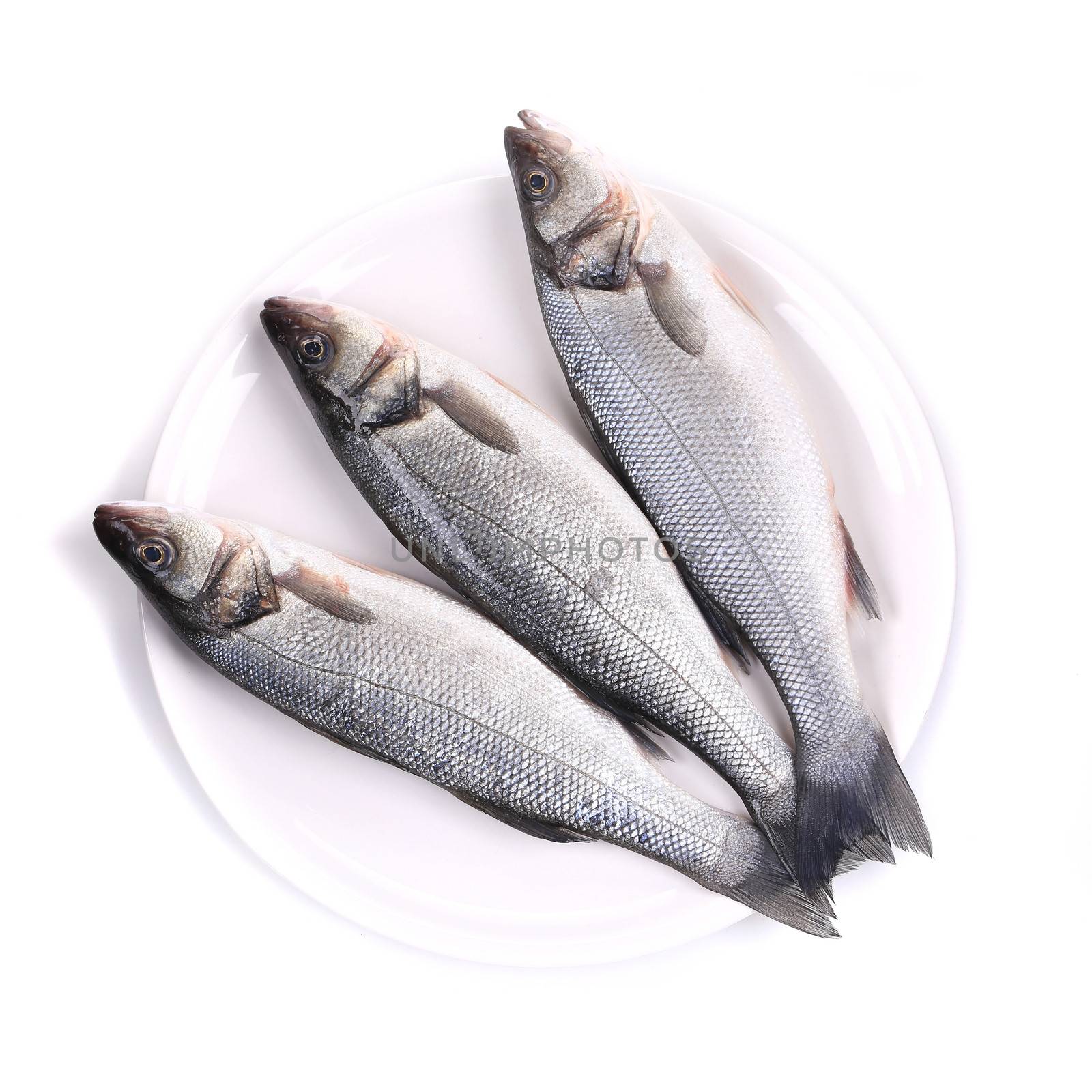 Three fresh seabass fish on plate. Isolated on a white background.