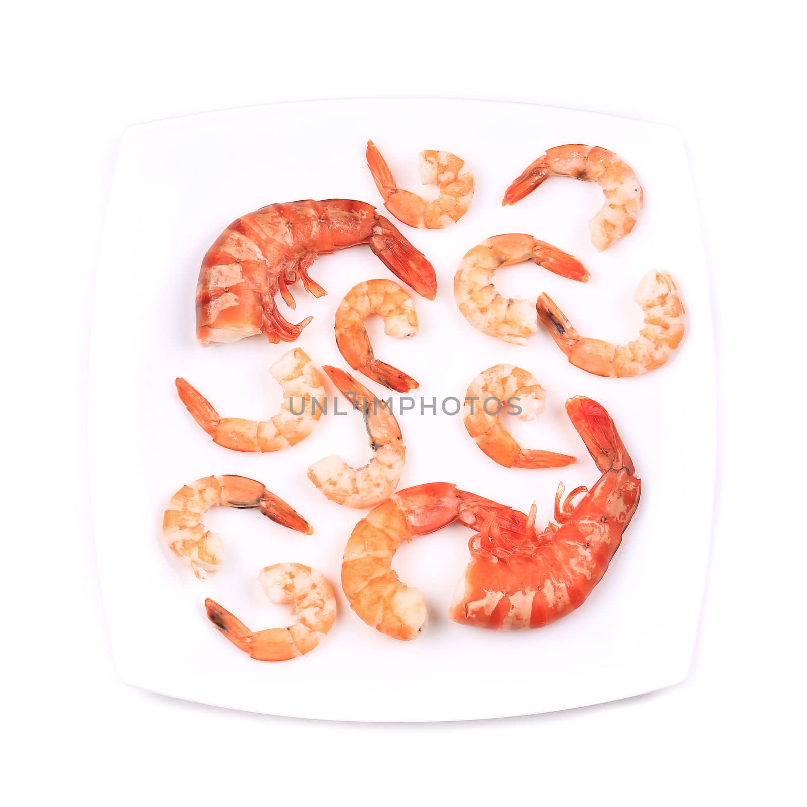 Composition of shrimps on plate. by indigolotos