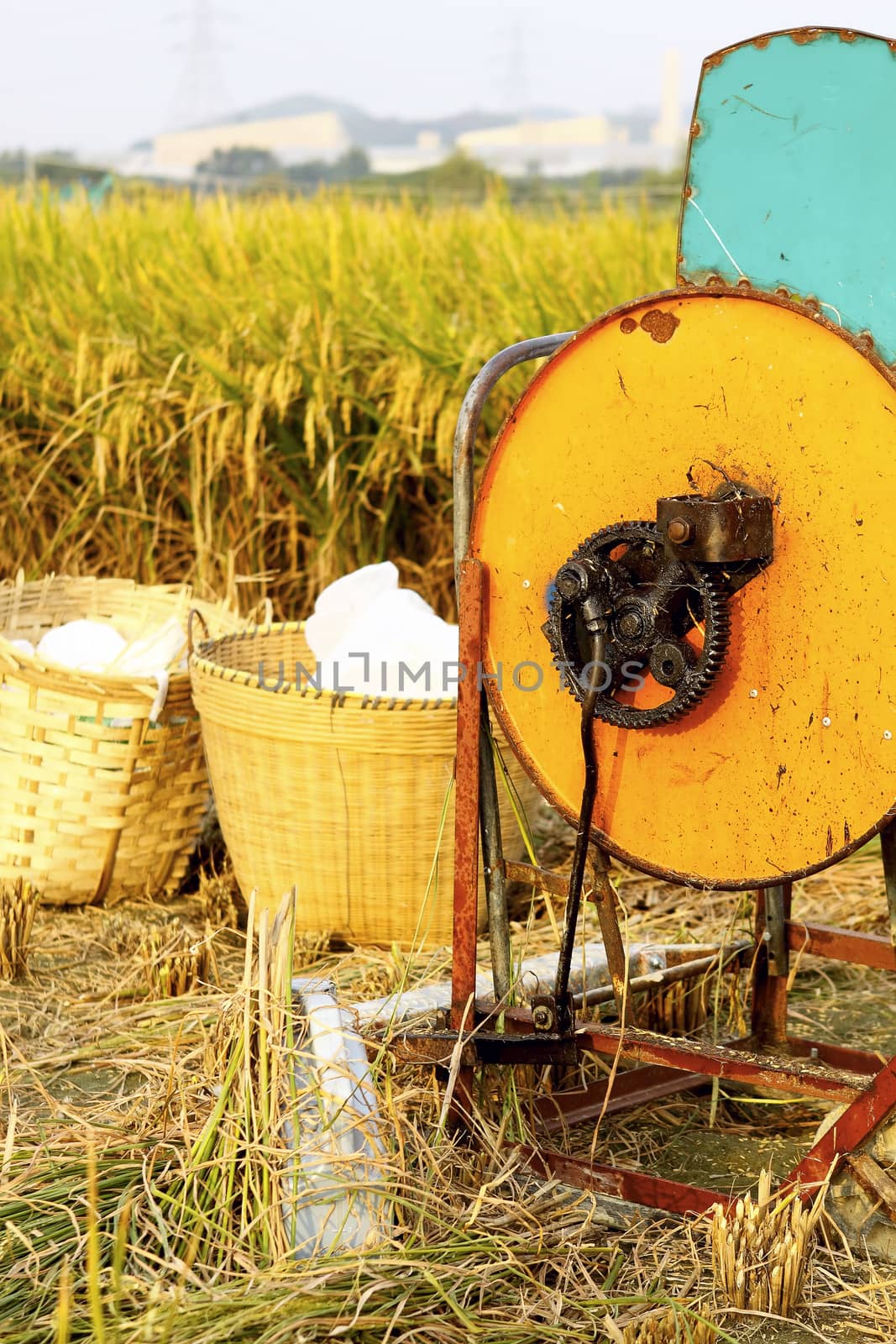 Vintage rice wood machine 