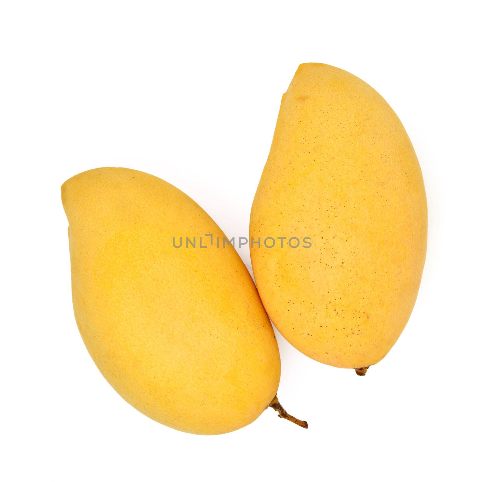 Mango by antpkr