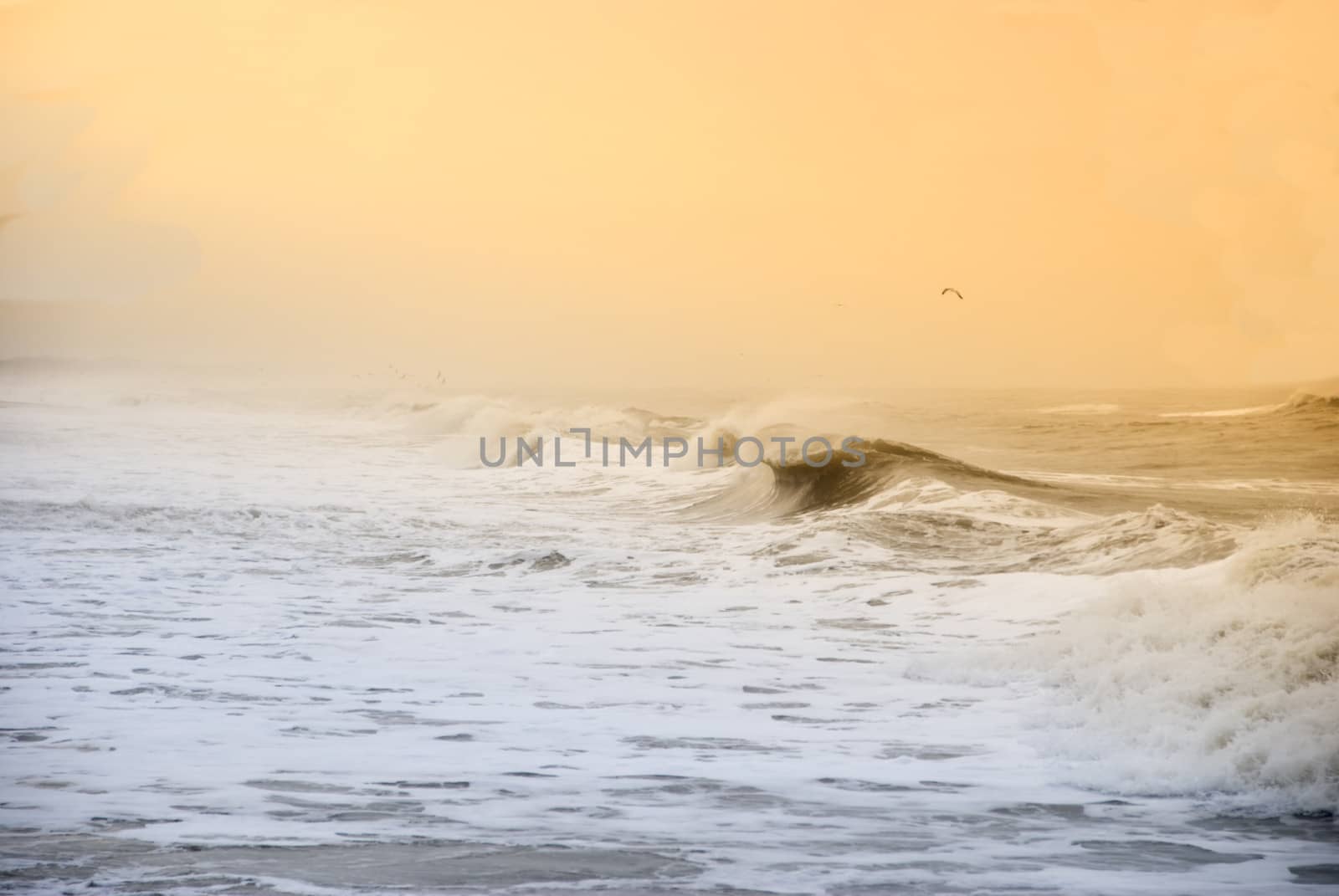 Beach in Denmark