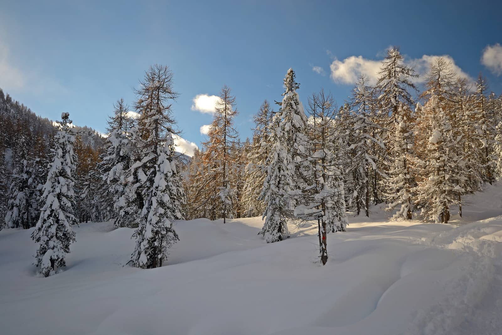 Winter time in the Alps. by fbxx