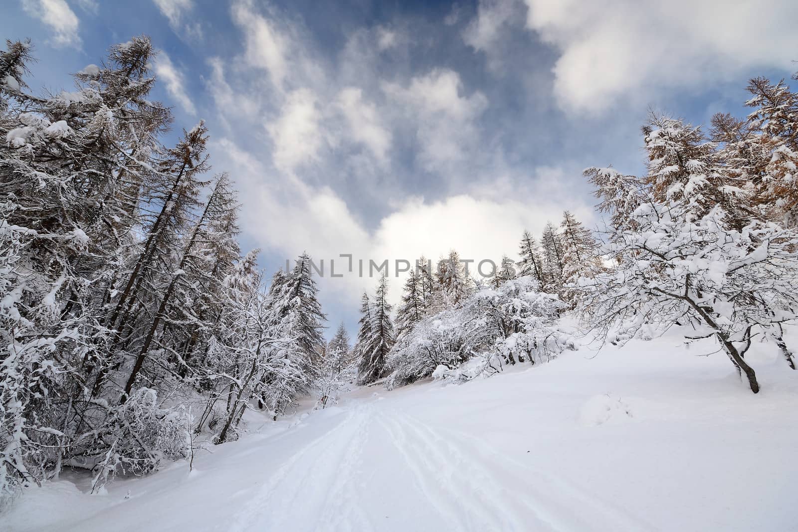 Winter time in the Alps. by fbxx