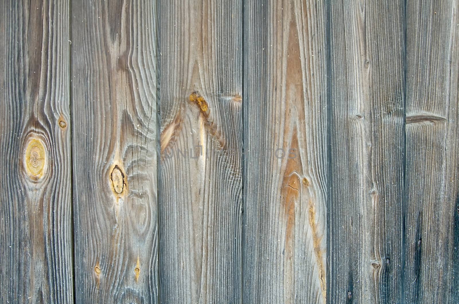 Fragment of an old barn door