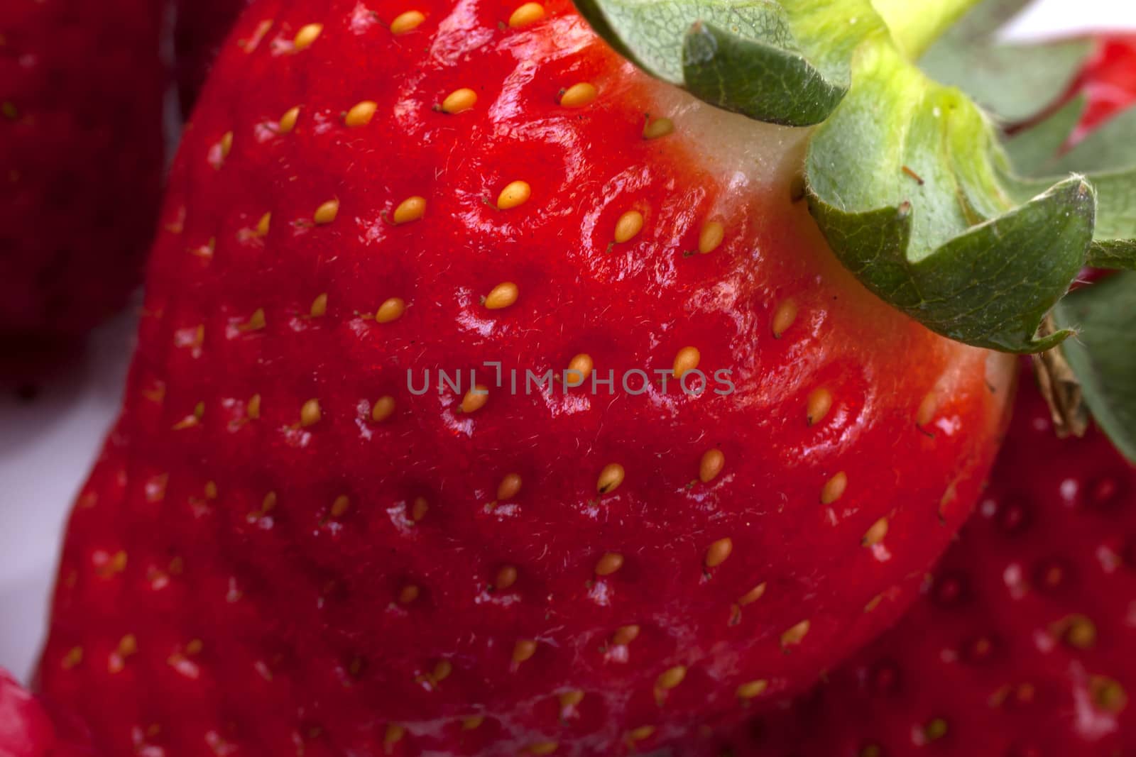 Strawberry fruits on white background by bubu45