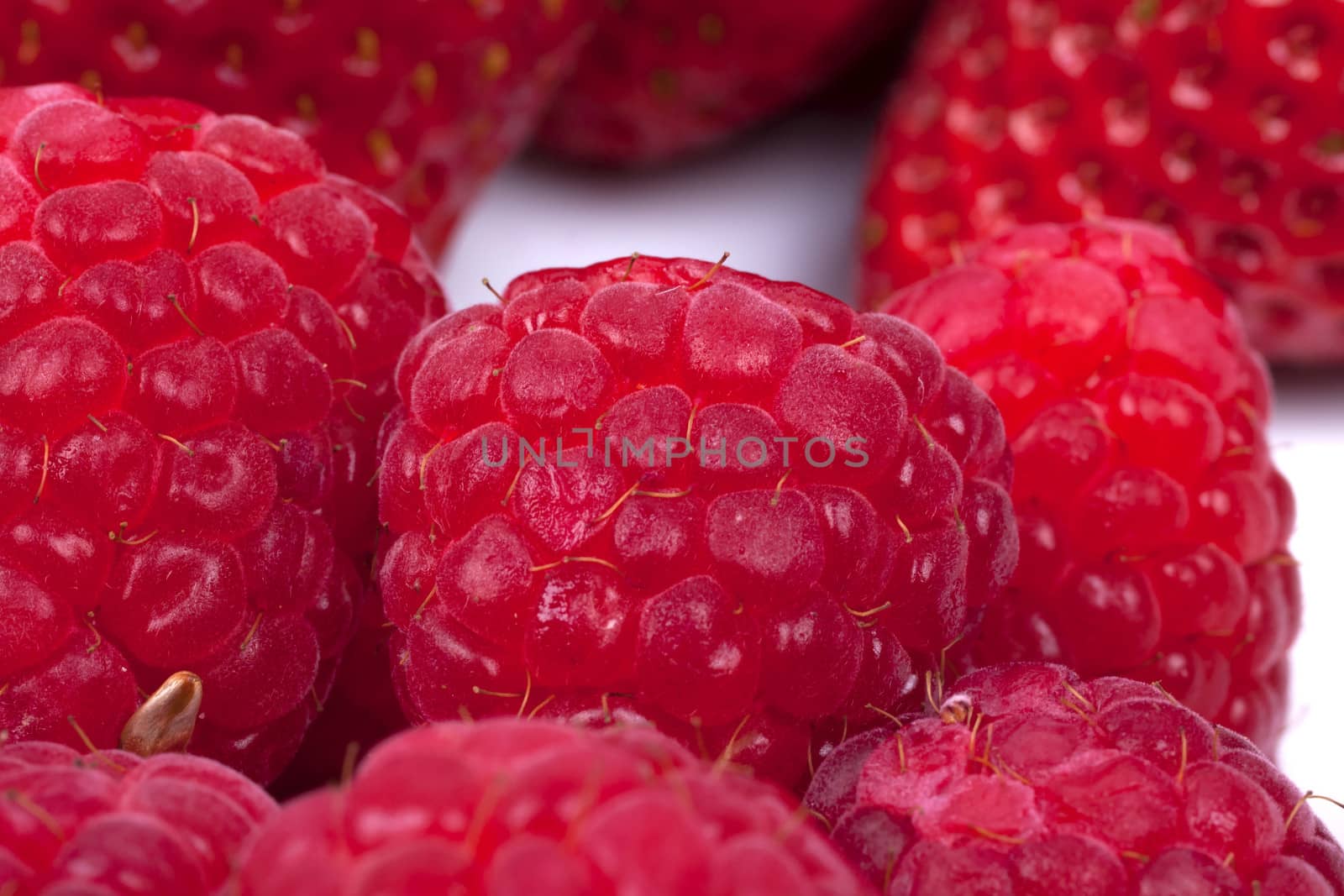 raspberries fruits on white background by bubu45