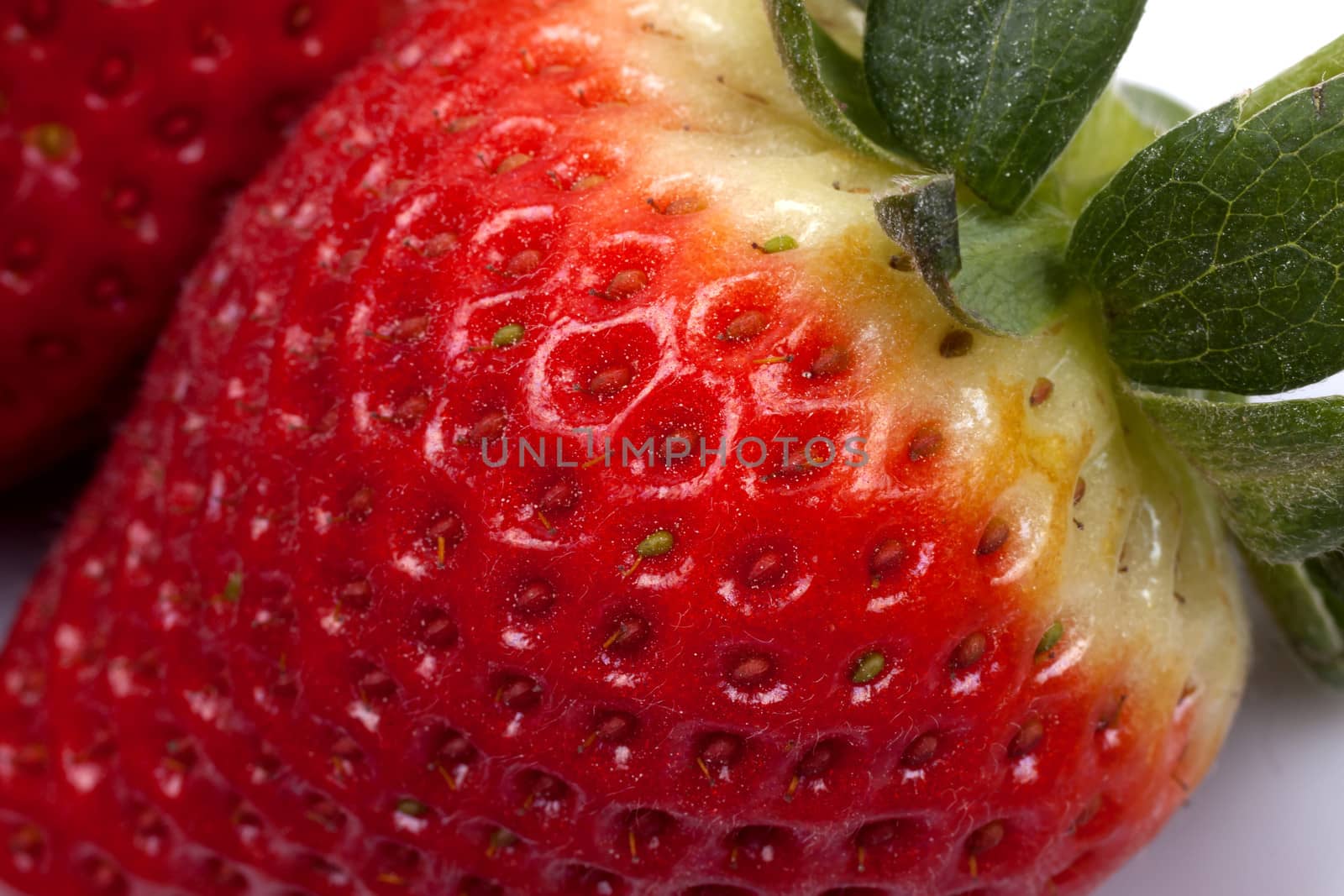 Strawberry fruits on white background by bubu45