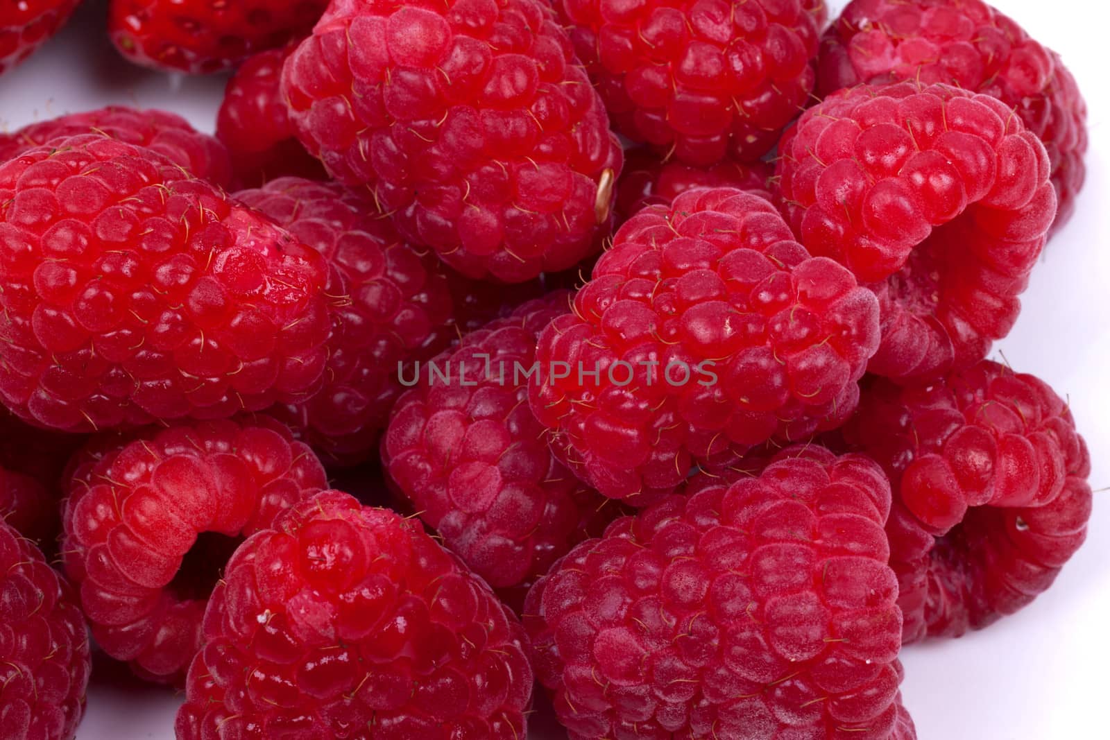 raspberries fruits on white background by bubu45