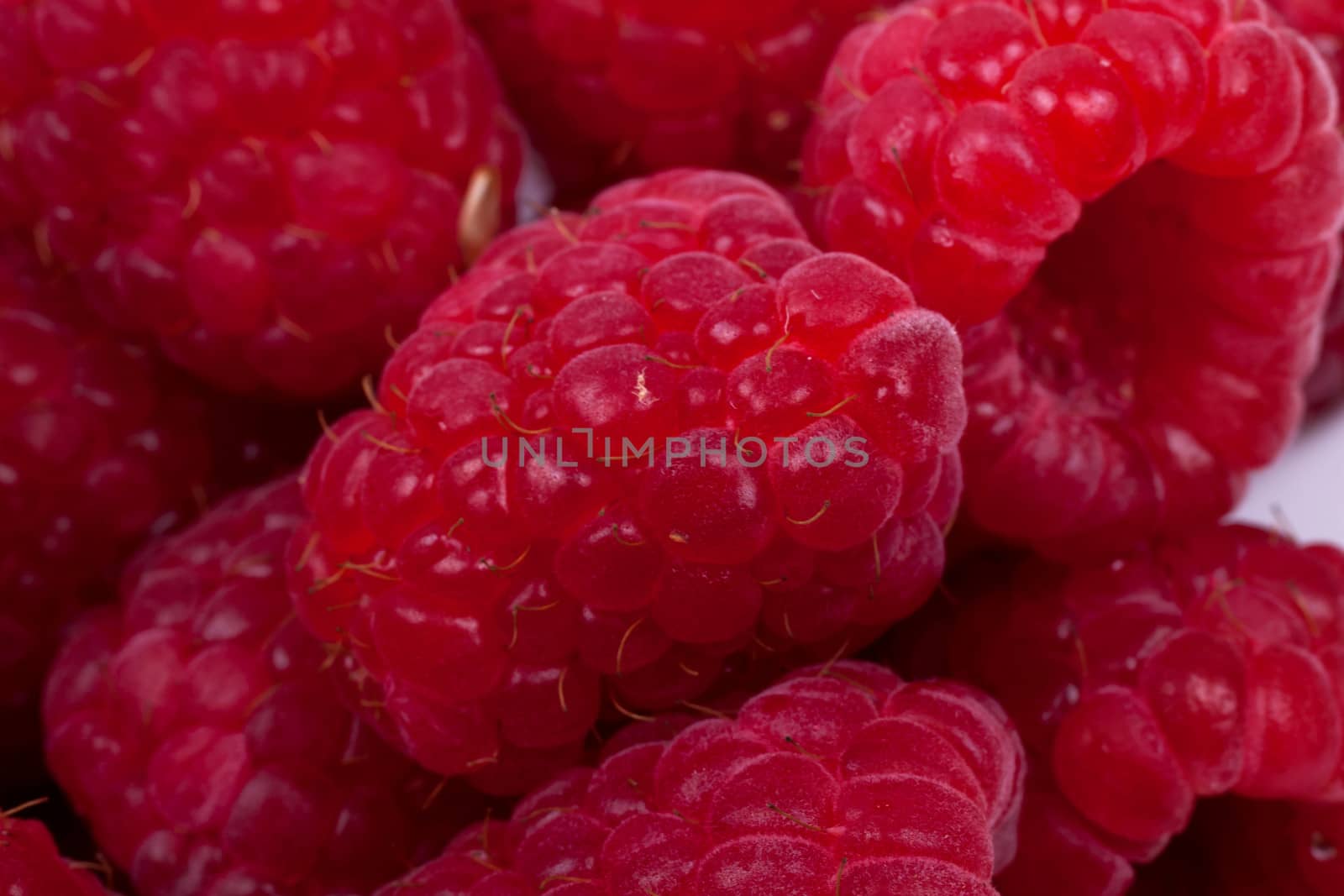 raspberries fruits on white background by bubu45