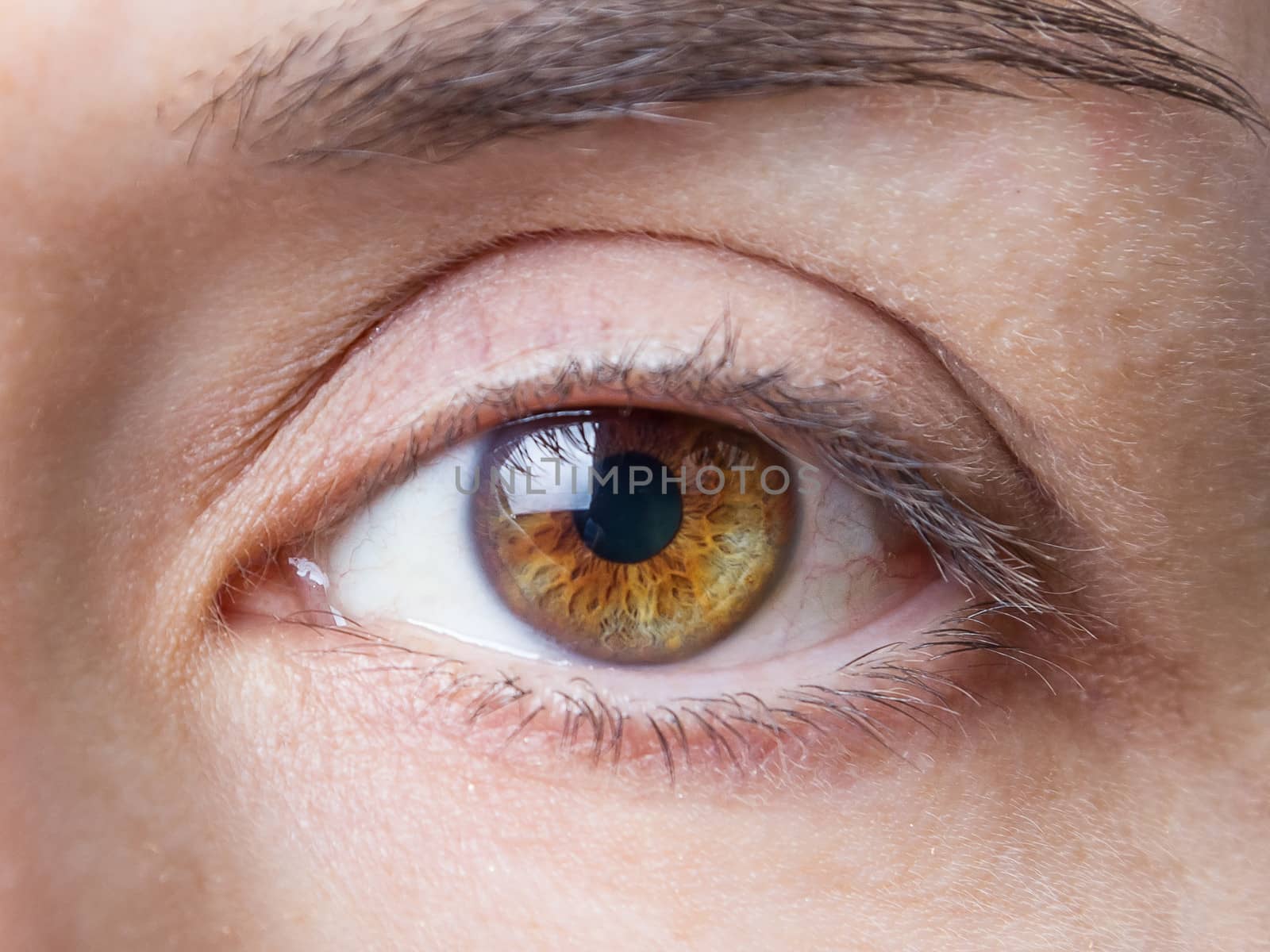 Closeup of beautiful female natural brown eye without makeup