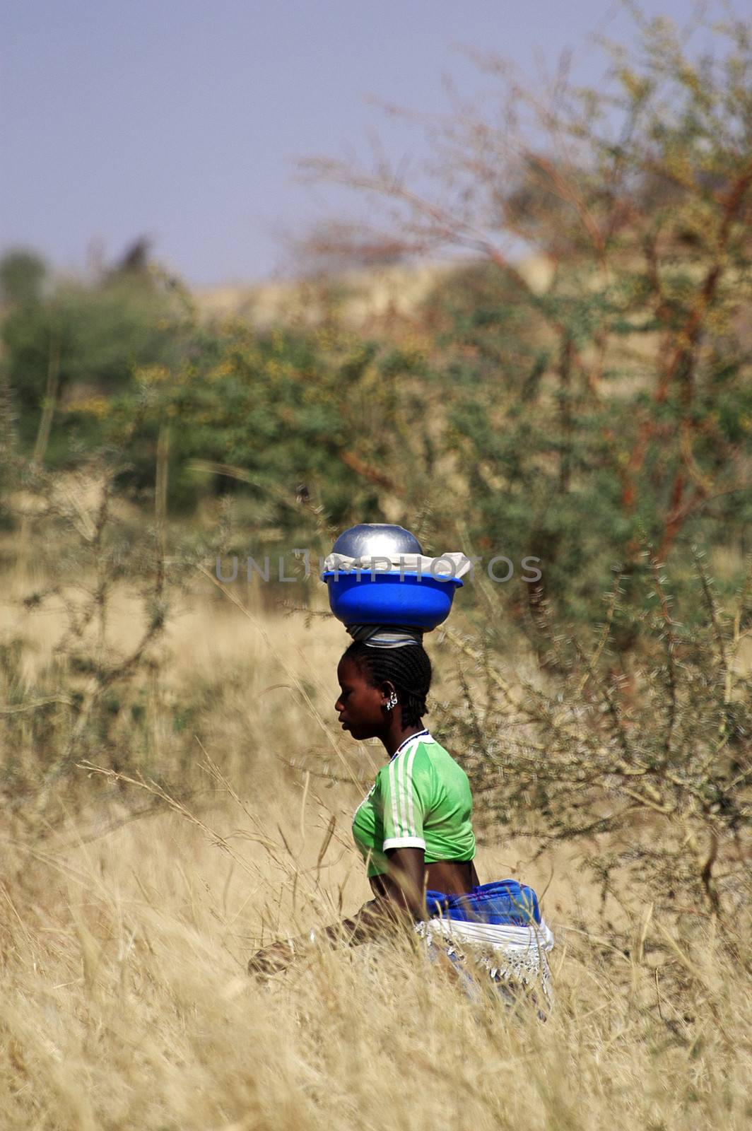 the African women carrying heavy loads sometimes on their heads over long distances through the bush