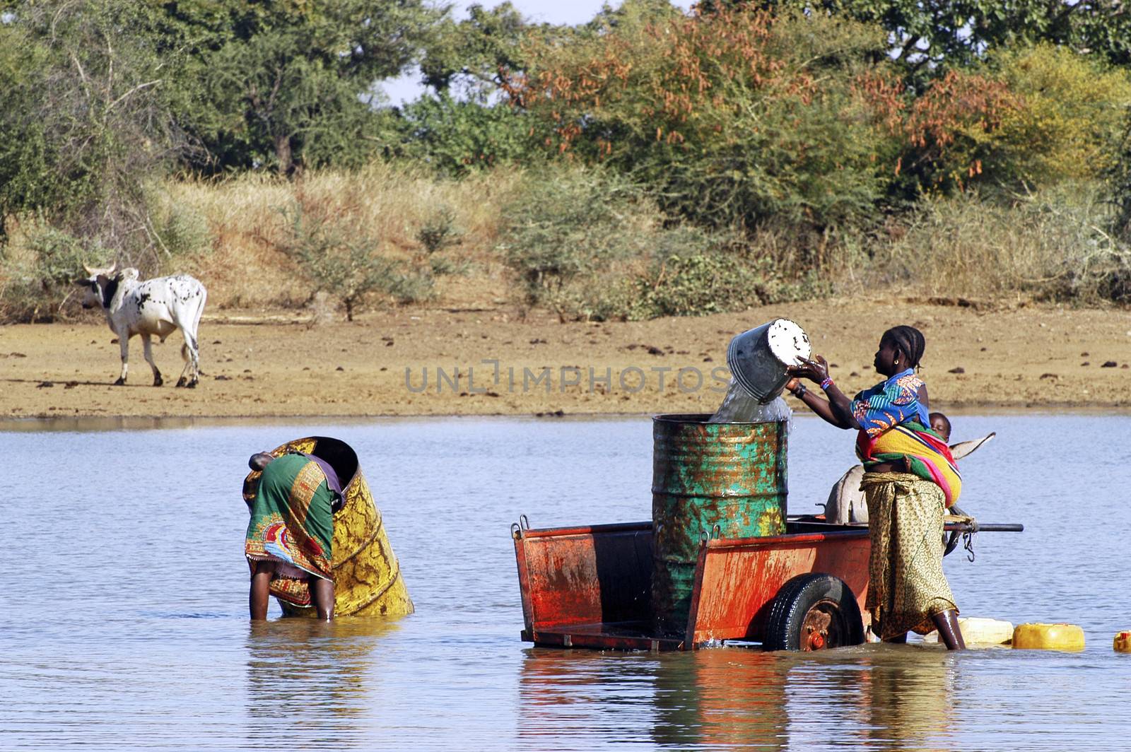 filling and transportation of water bottles at lake is for women to irrigate crops