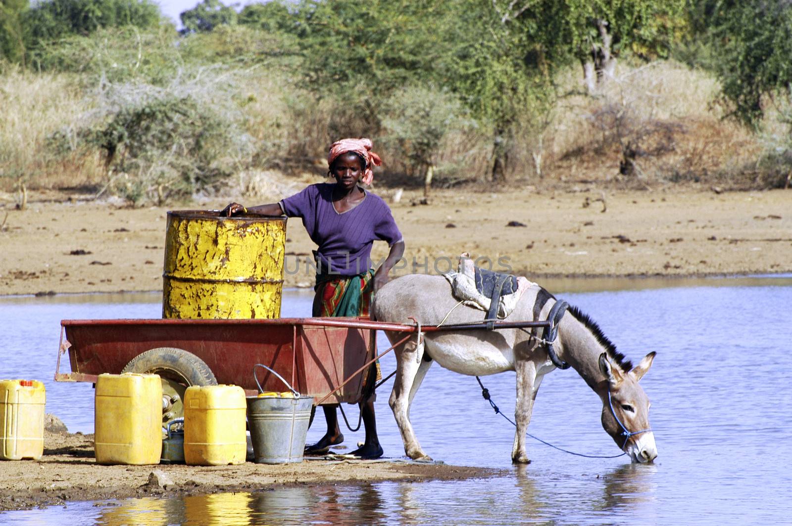 filling and transportation of water bottles at lake is for women to irrigate crops