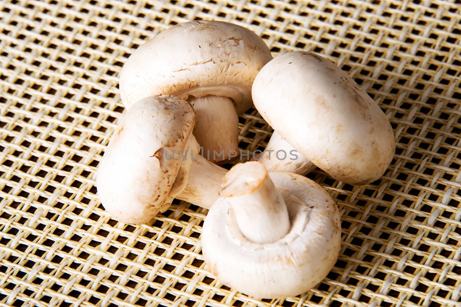 Fresh mashrooms, champignons over kitchen