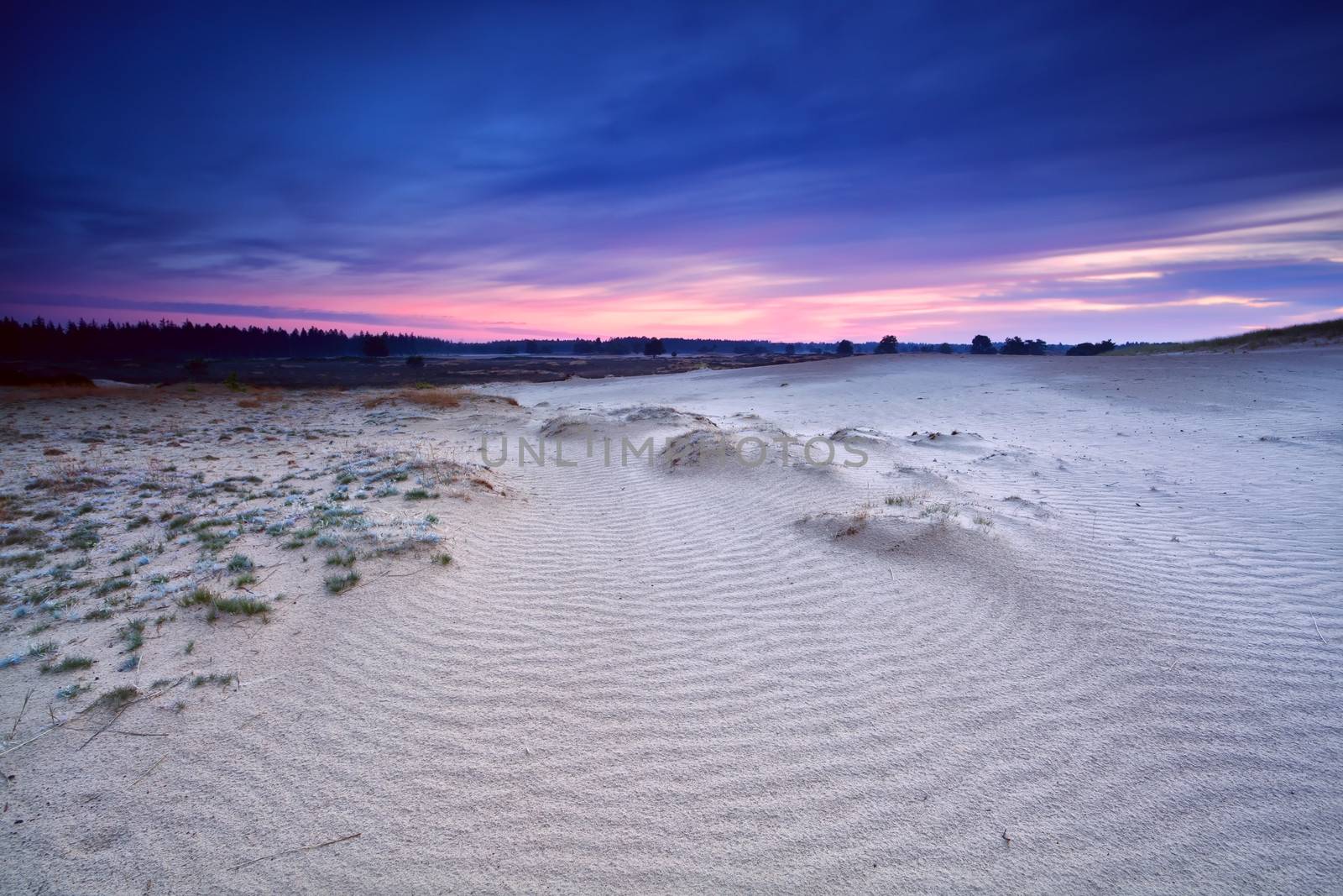 wind sand texture on dune at sunrise, Drents-Friese Wold, Netherlands