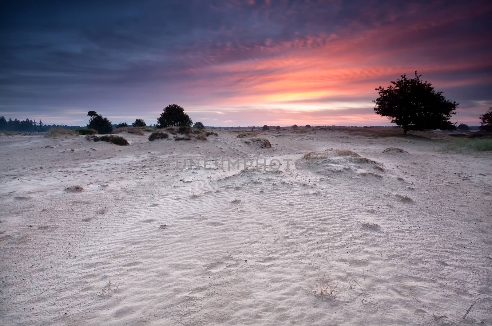 dramatic sunrise over sand dunes by catolla