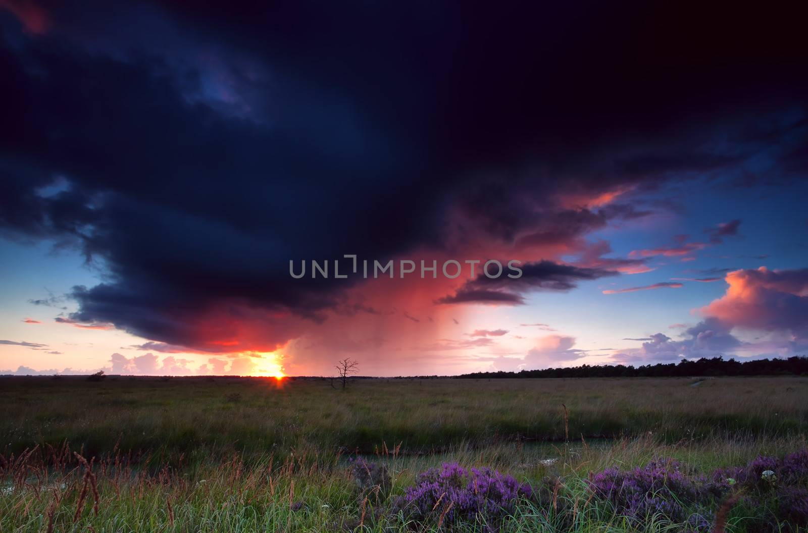 dramatic thunderstorm over heathland at sunset