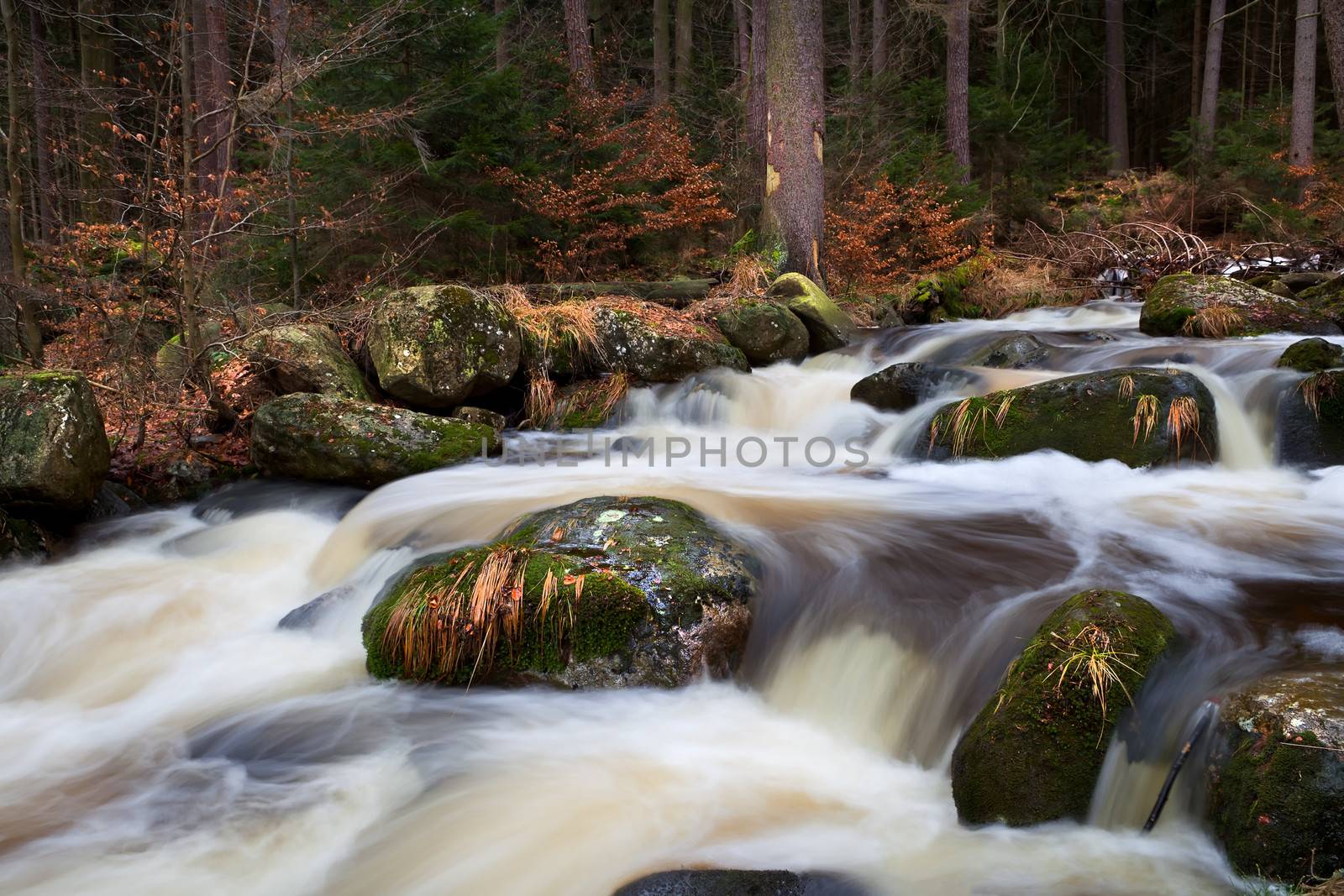 mountain river in forest at long exposure, Harz, Germany