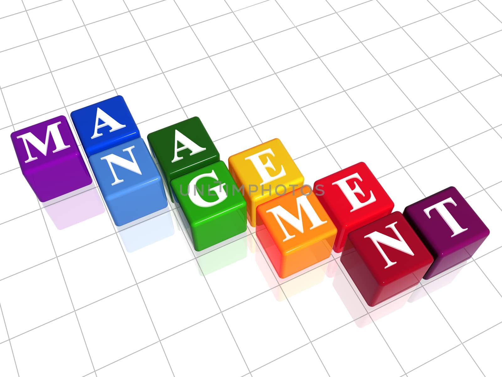 3d colour boxes with text - management, word