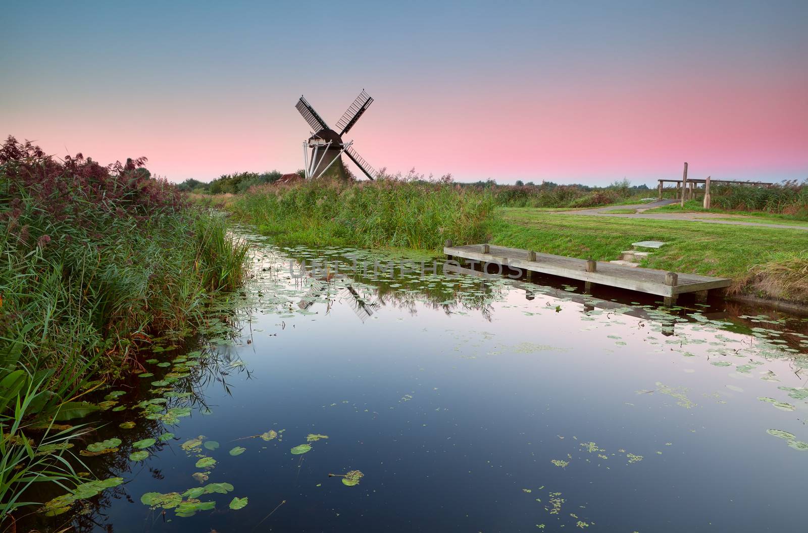 Dutch windmill by river with water lily at sunrise, Holland