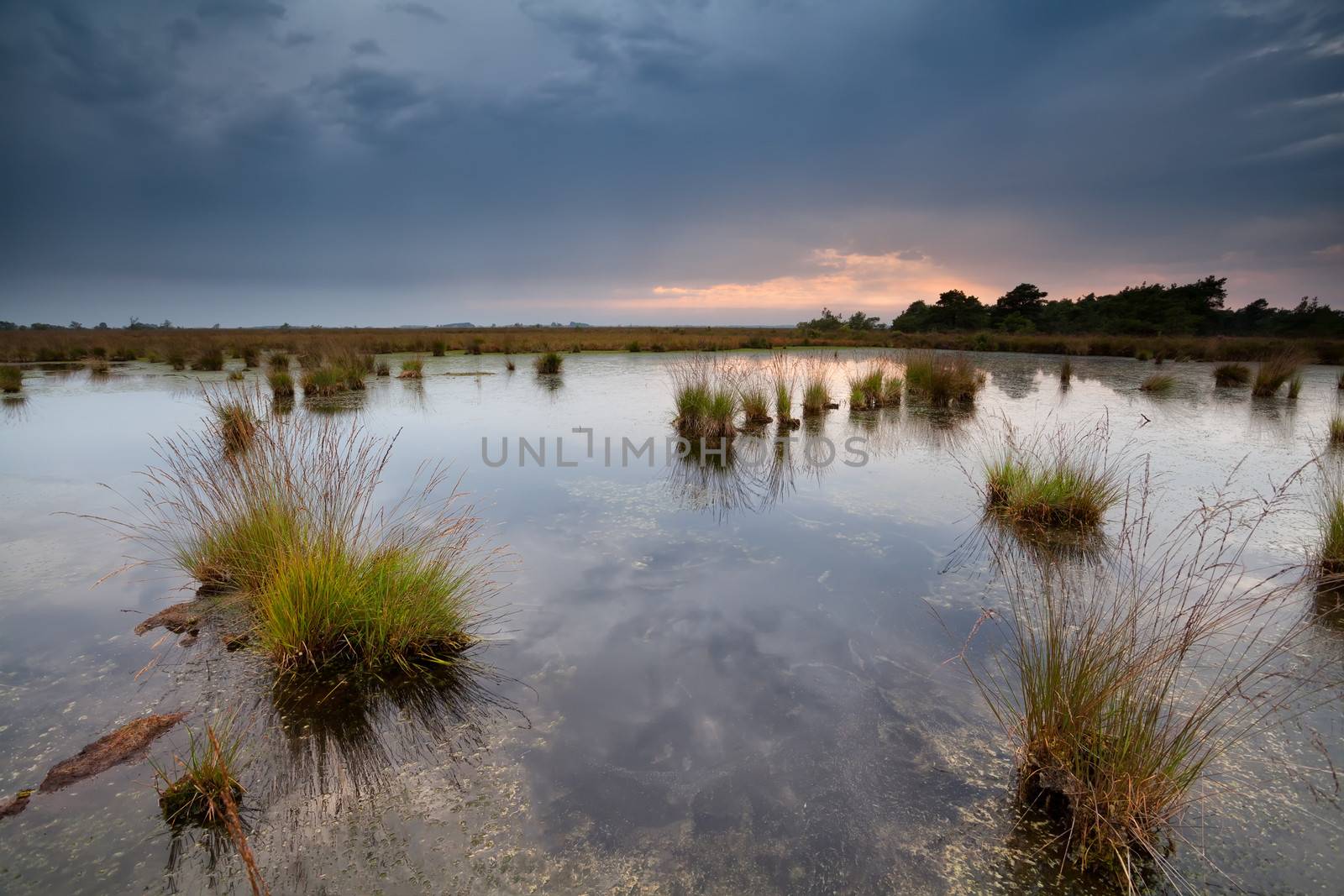 rainy sunset over swamps by catolla