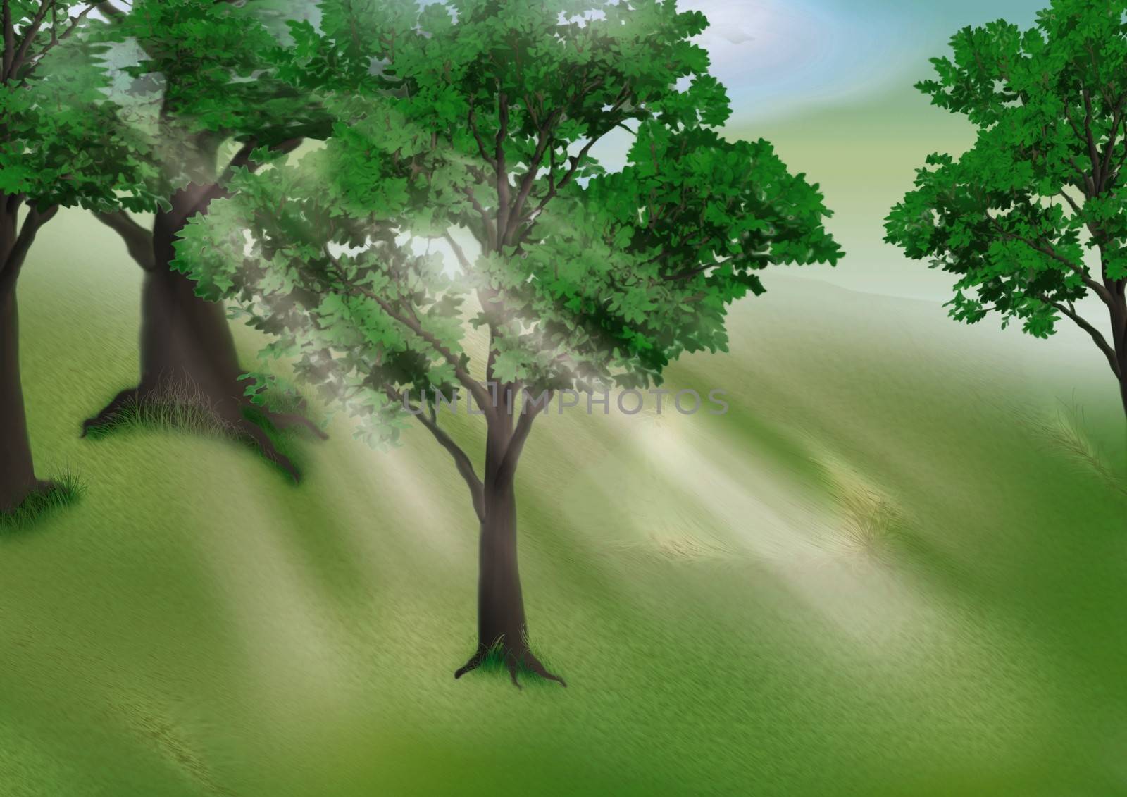 Grove In The Morning - Background Illustration