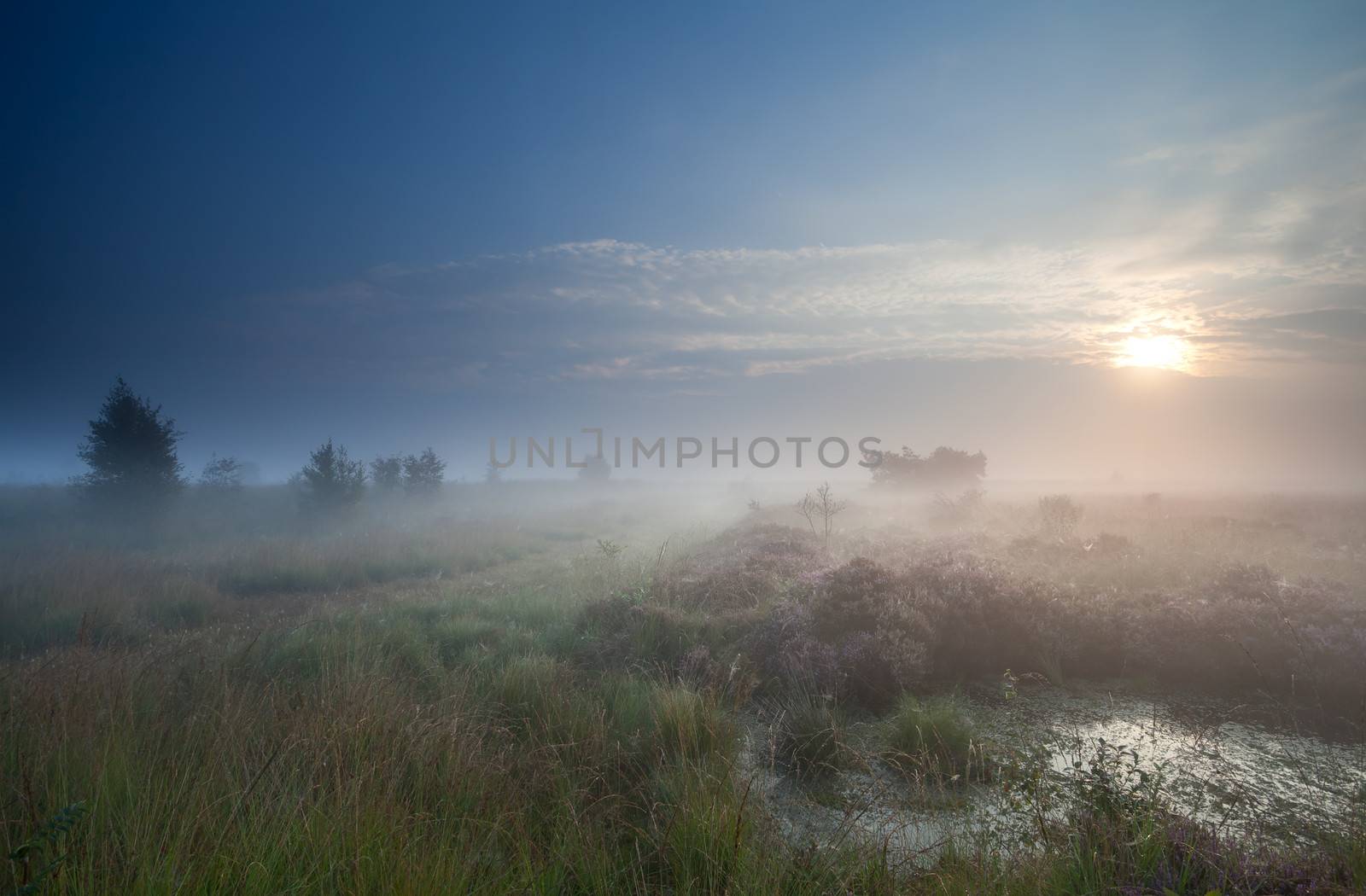 dense fog over marsh at sunrise by catolla