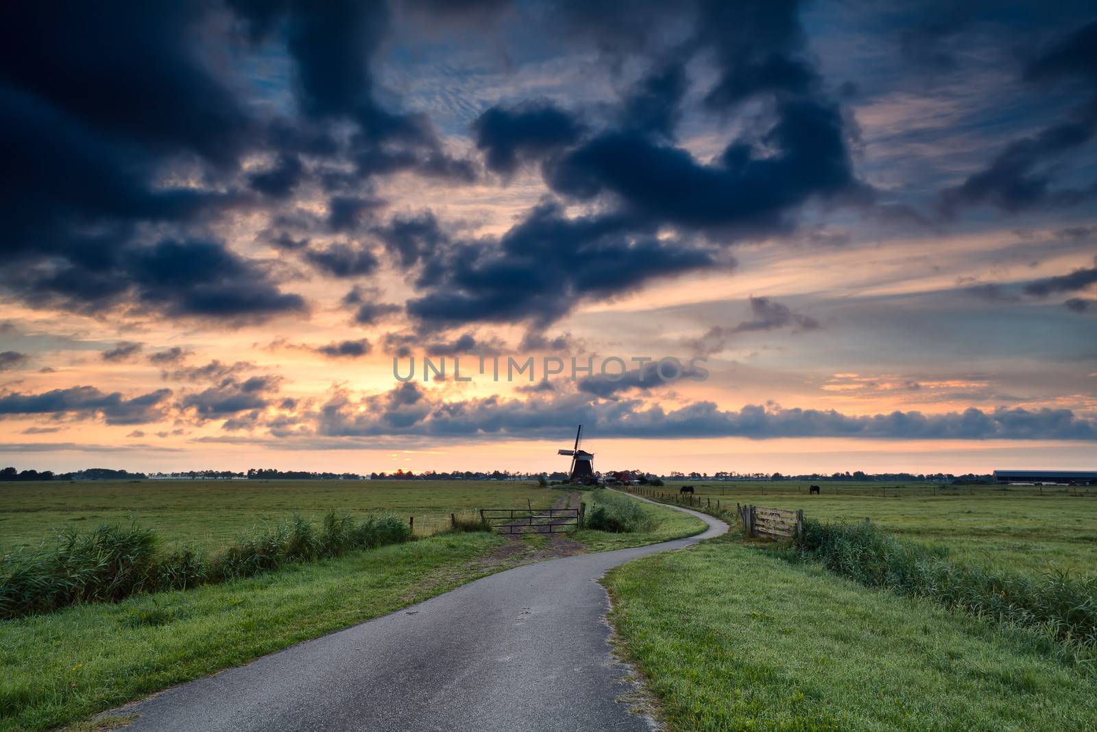 bike path to windmill at summer sunrise, Holland