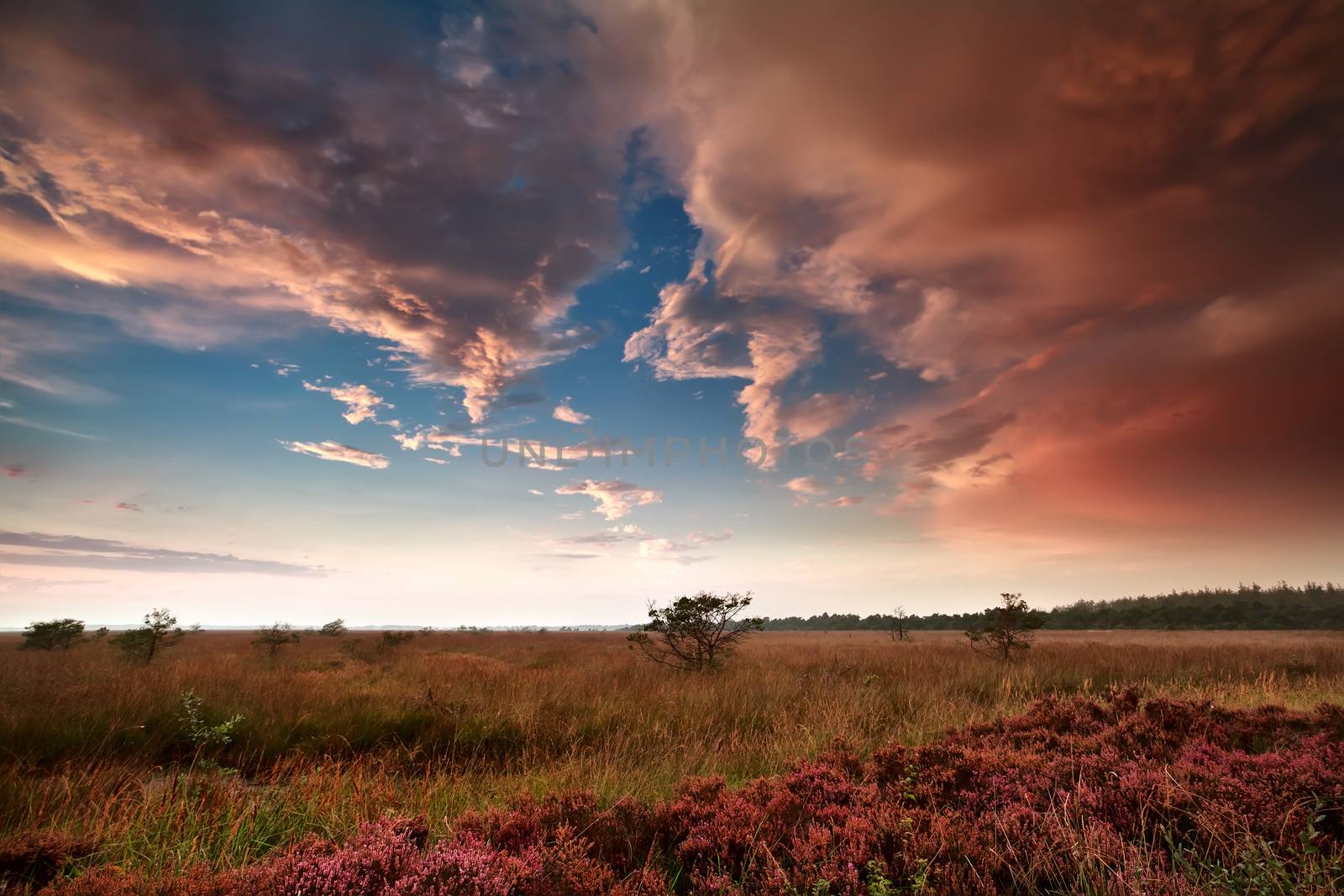 heavy rainy clouds over swamp at sunset by catolla