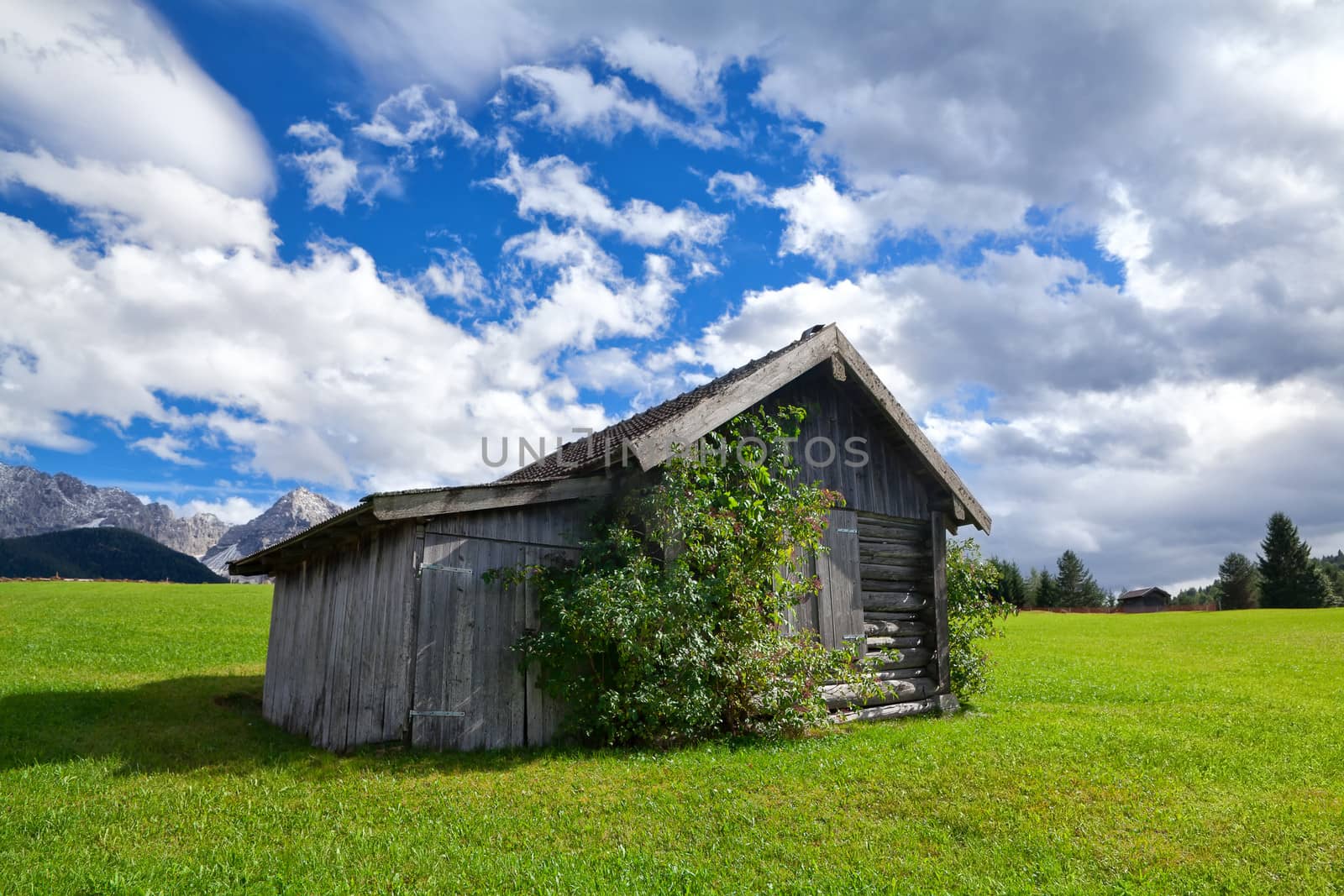 wooden hut on green alpine meadows, Bavaria, Germany