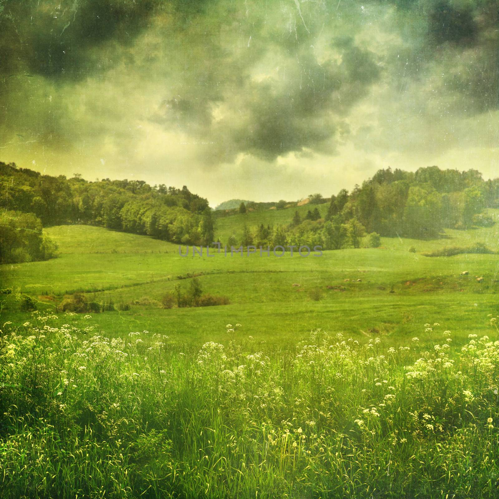 Summer landscape with vintage color filters by Sandralise