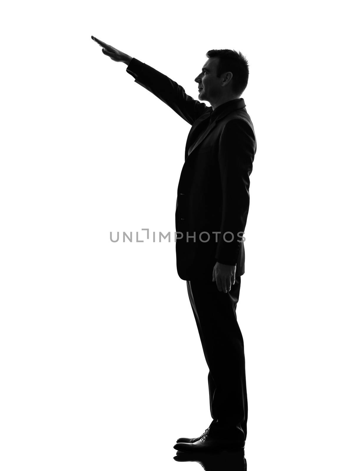 one caucasian extreme right wing man saluting  in silhouette  on white background