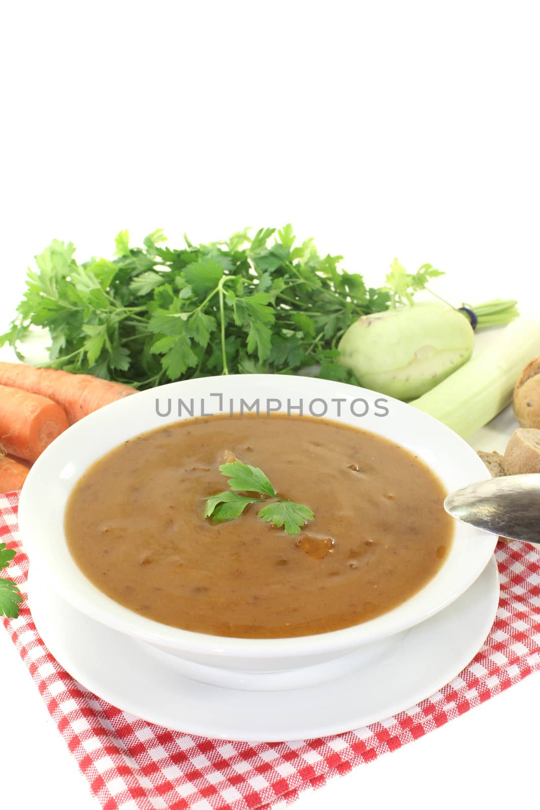 Oxtail soup with parsley and beef on a bright background