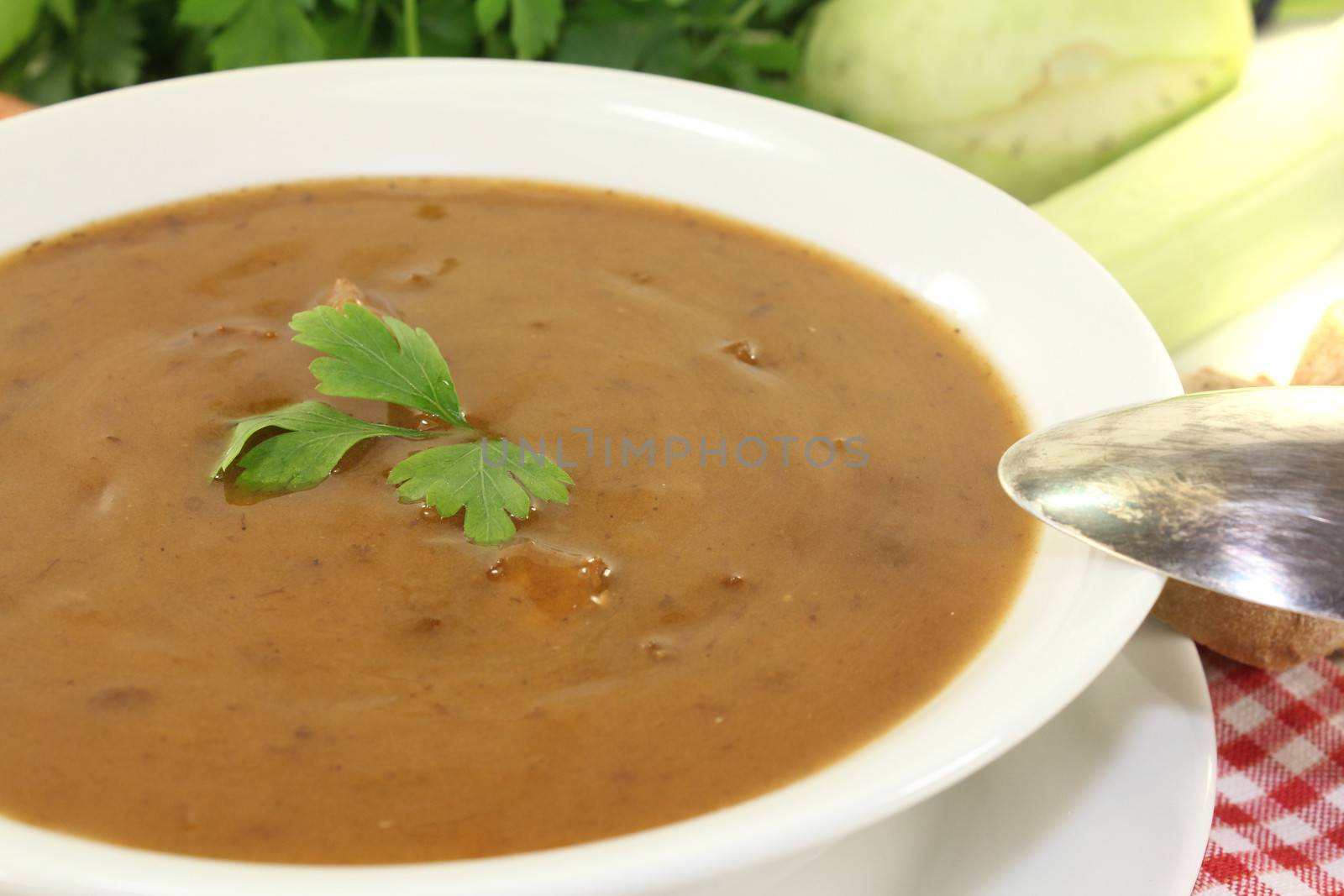 Oxtail soup with beef on a light background