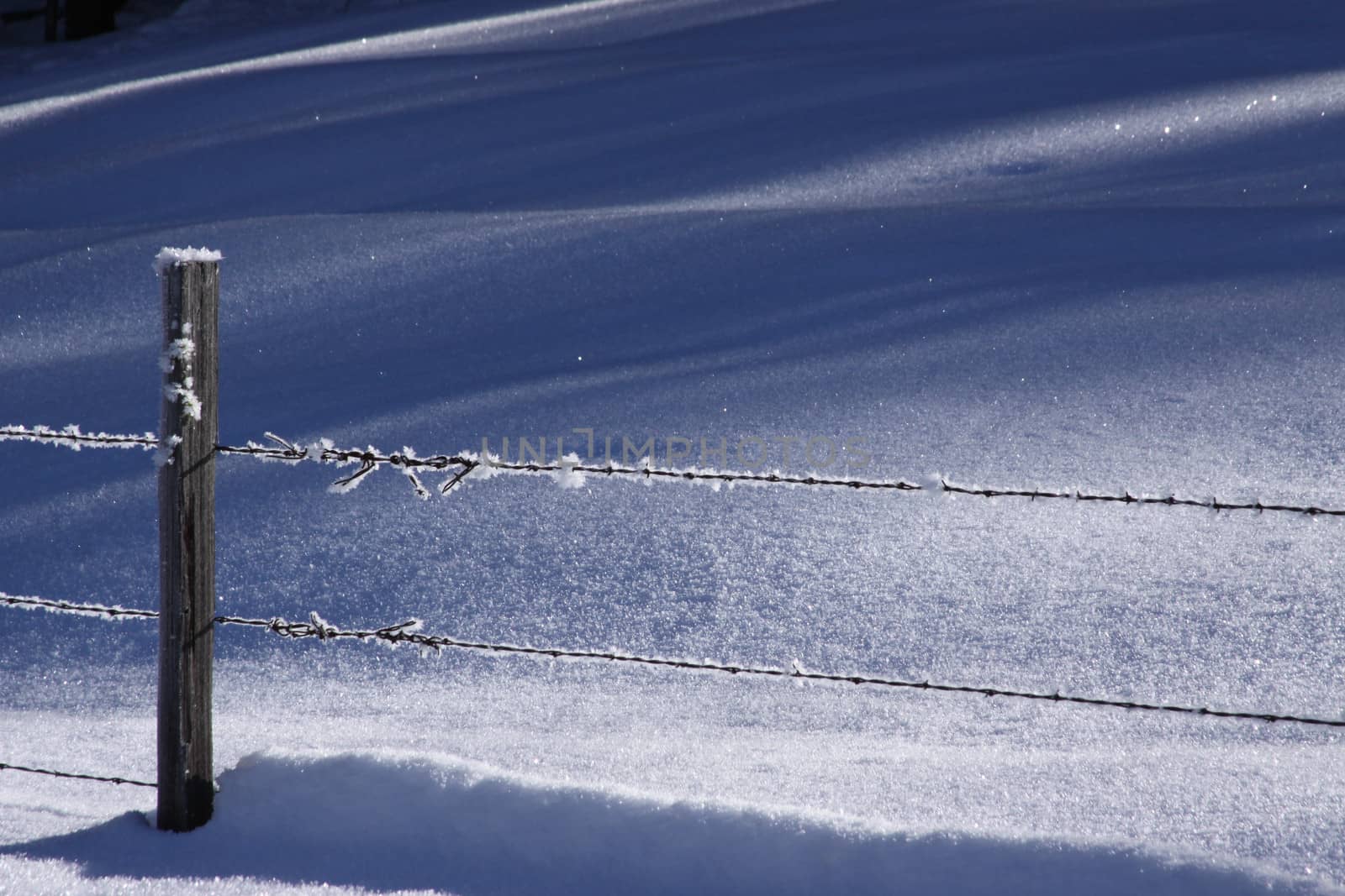 A barbed wire fence covered in Hoar Frost and snow.