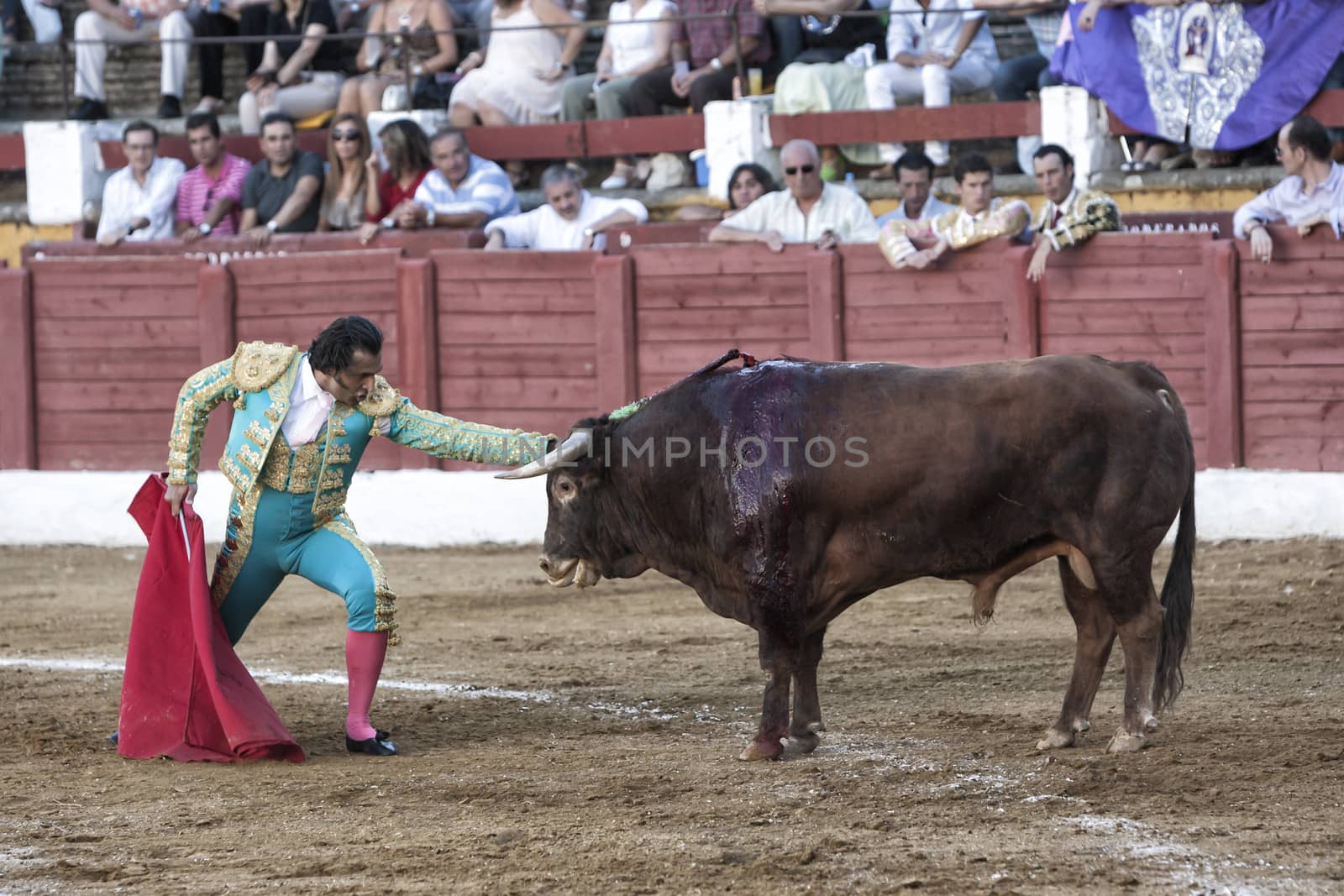 Andujar, Jaen province, SPAIN - 10 september 2011: Spainish bullfighter Juan de Felix stopped in front of the bull or also called desplante, offering to the public their courage in the Bullring of Andujar, Jaen province, Andalusia, Spain