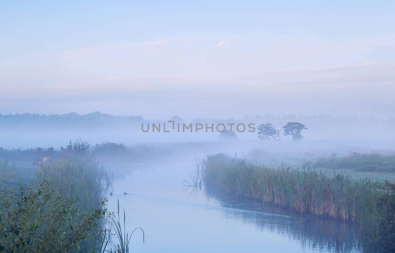 calm misty morning over river by catolla