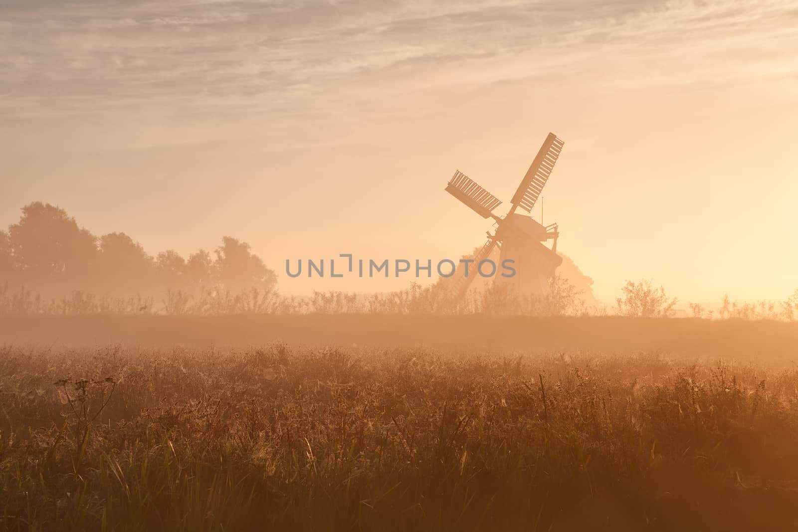 Dutch windmill in fog and morning sunshine by catolla