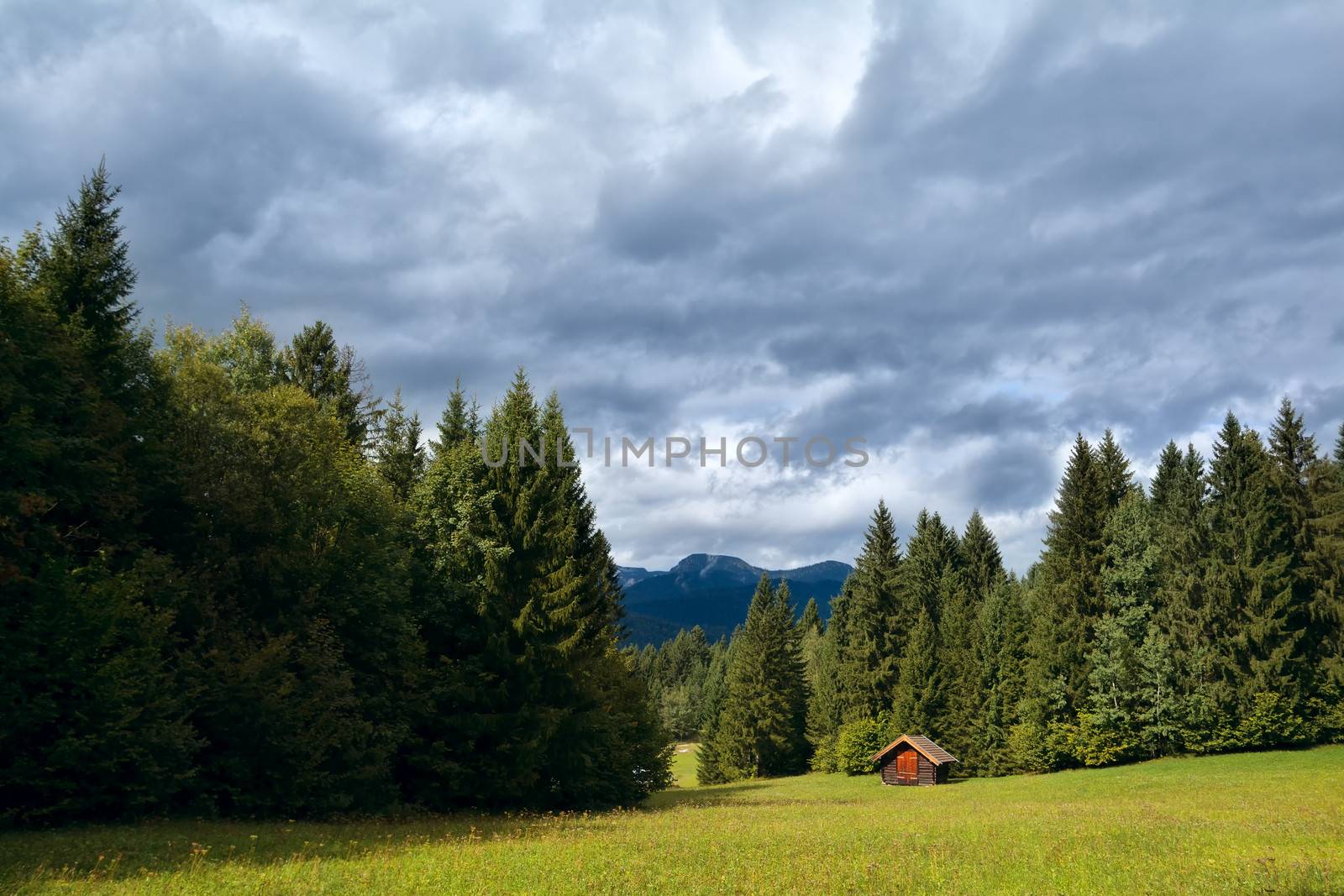 little hut on meadow in coniferous alpine forest by catolla