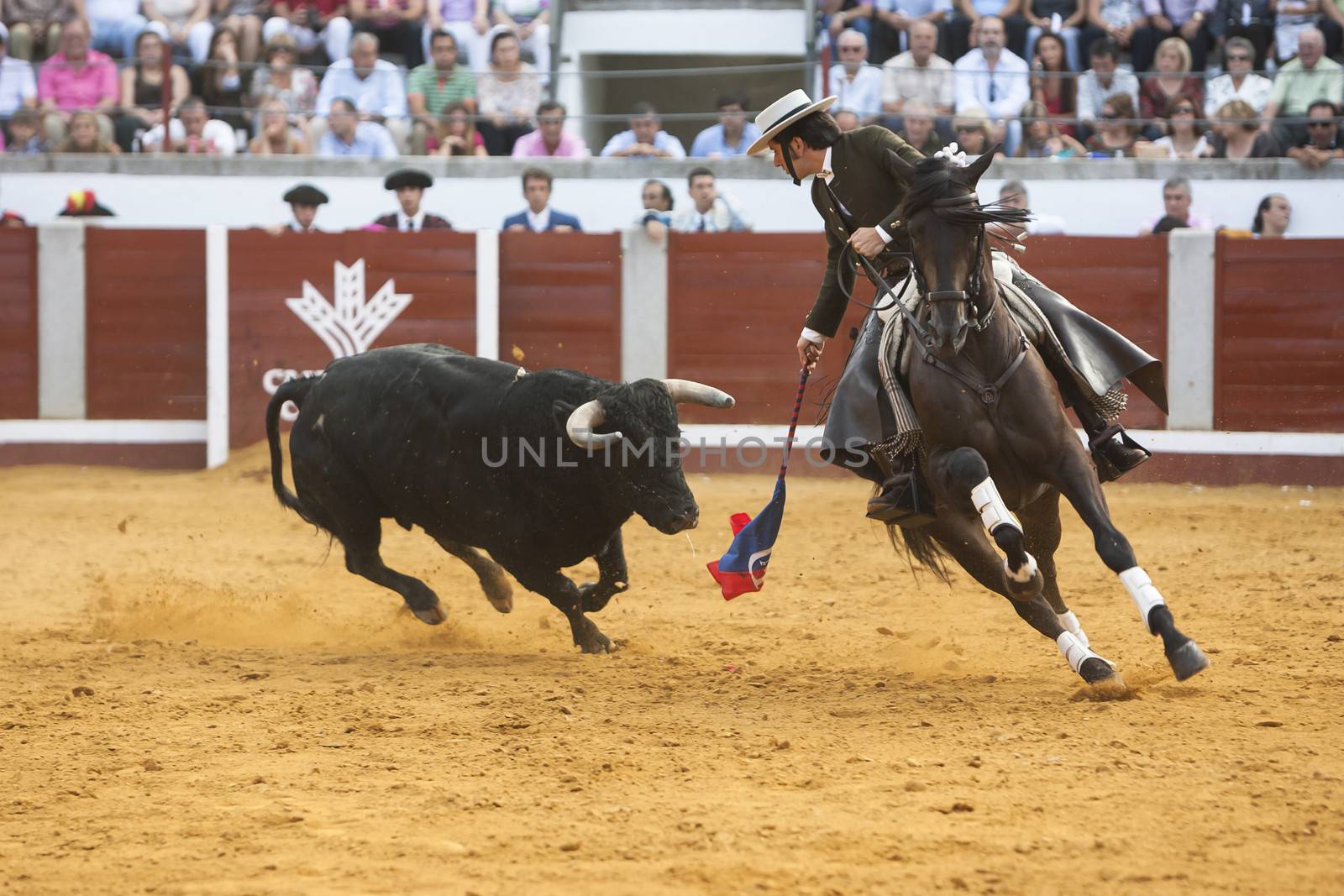 Spanish bullfighter on horseback Diego Ventura bullfighting with a flag of colours to attract the bull in Pozoblanco