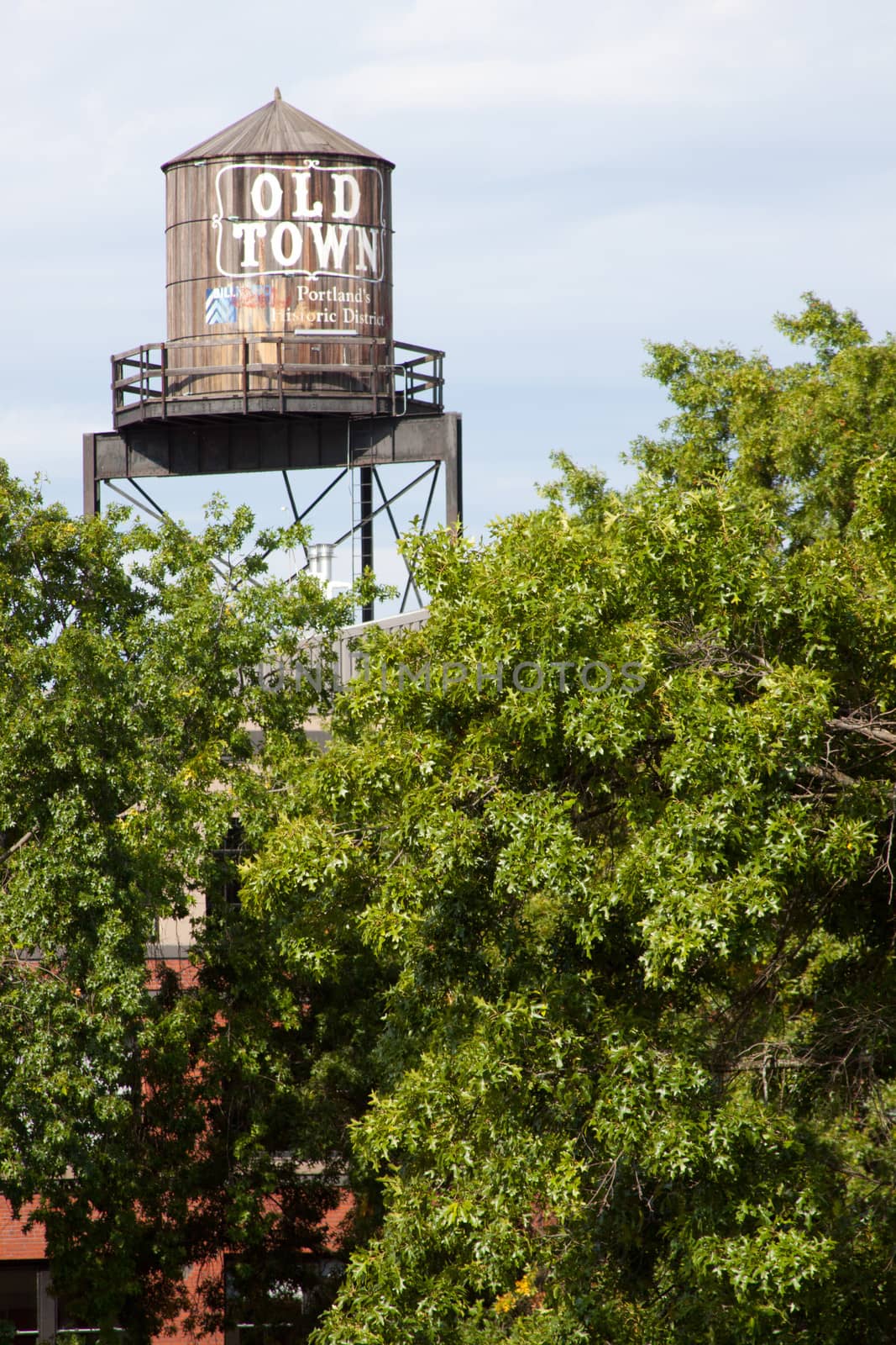 A tourist attraction in Oregon that is an old water tower and relic from the past.