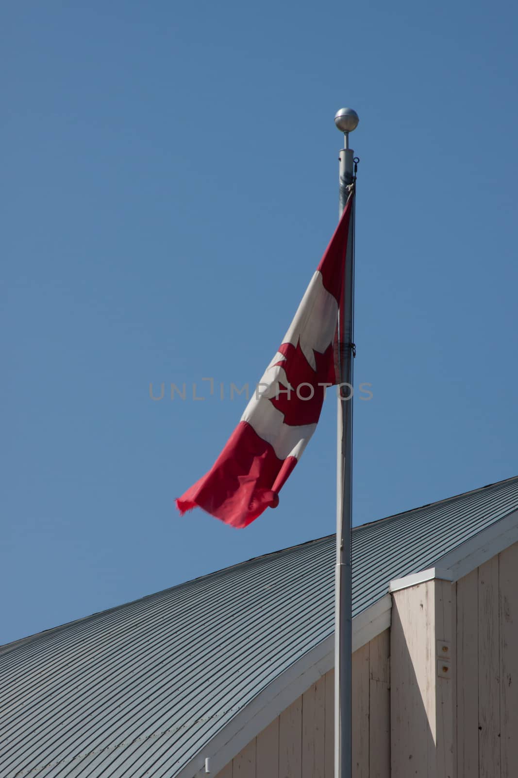 A Canadian flag in the breeze against a blue sky.