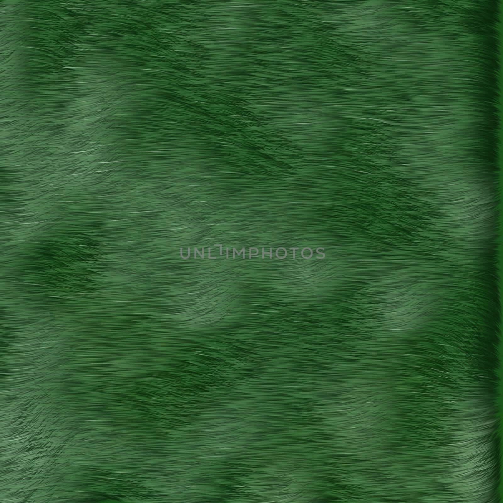 texture of green grass by sfinks